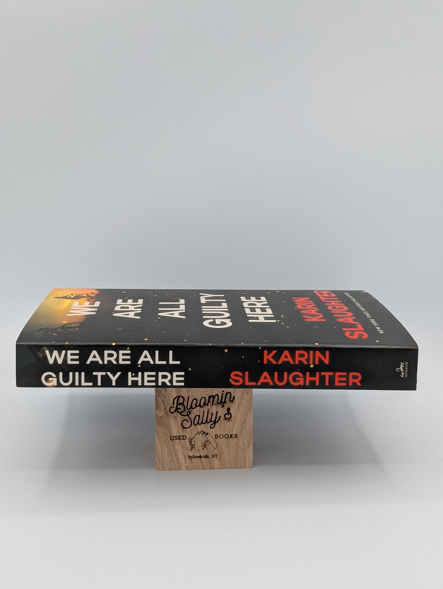We Are All Guilty Here: A Chilling Psychological Thriller Where Secrets Lead to Deadly Consequences (A North Falls Thriller, 1)