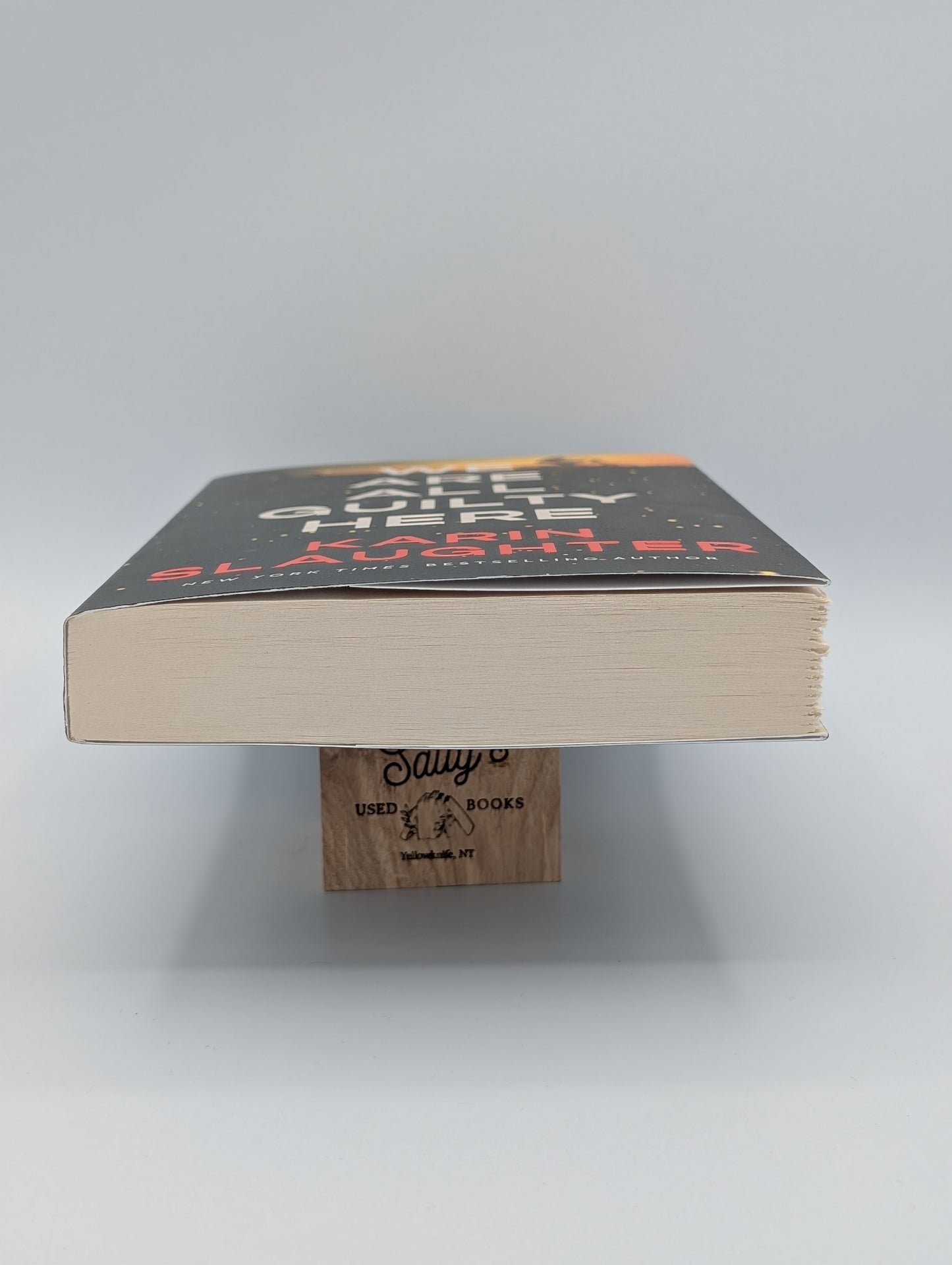 We Are All Guilty Here: A Chilling Psychological Thriller Where Secrets Lead to Deadly Consequences (A North Falls Thriller, 1)