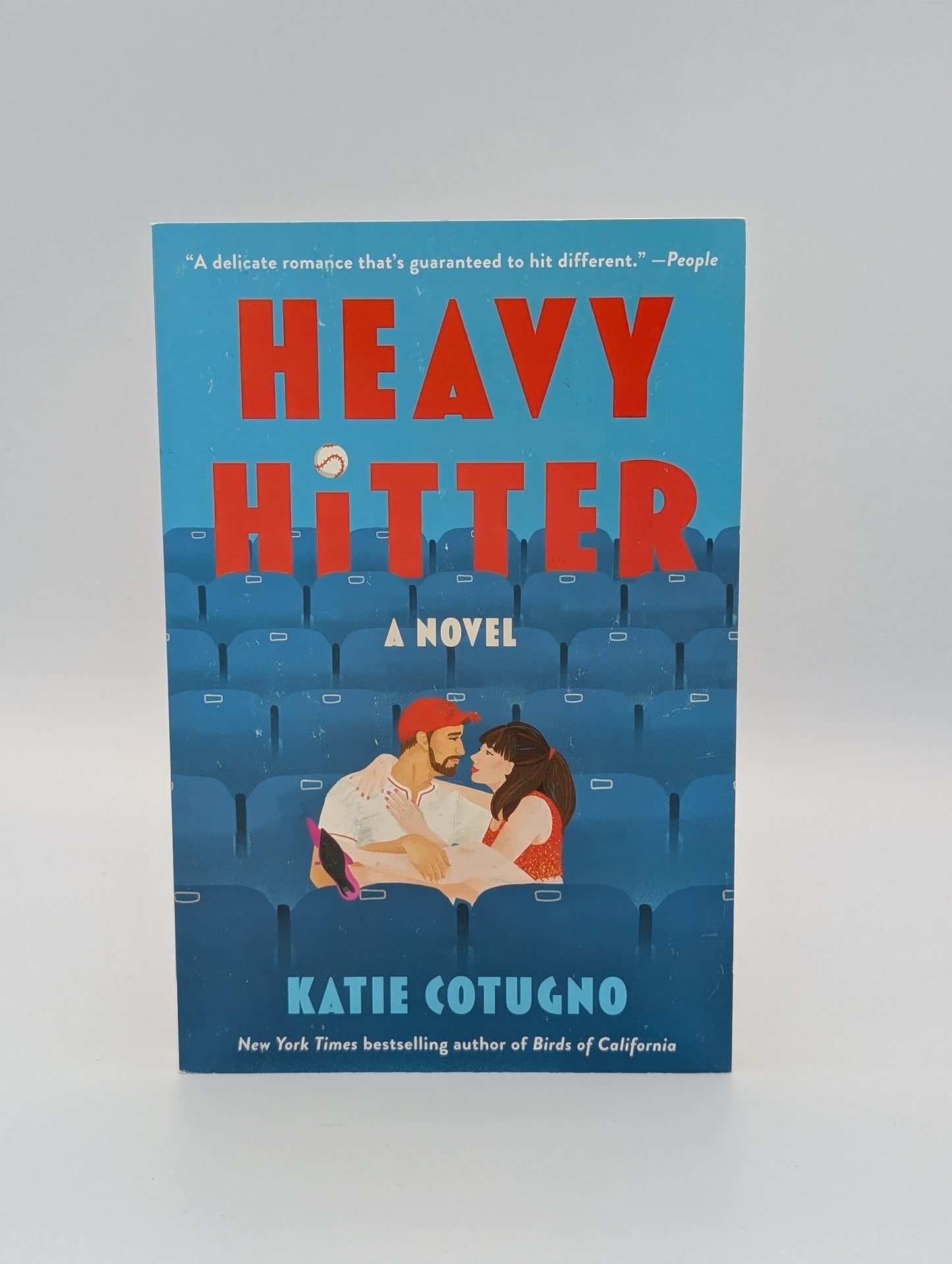 Heavy Hitter: A Novel