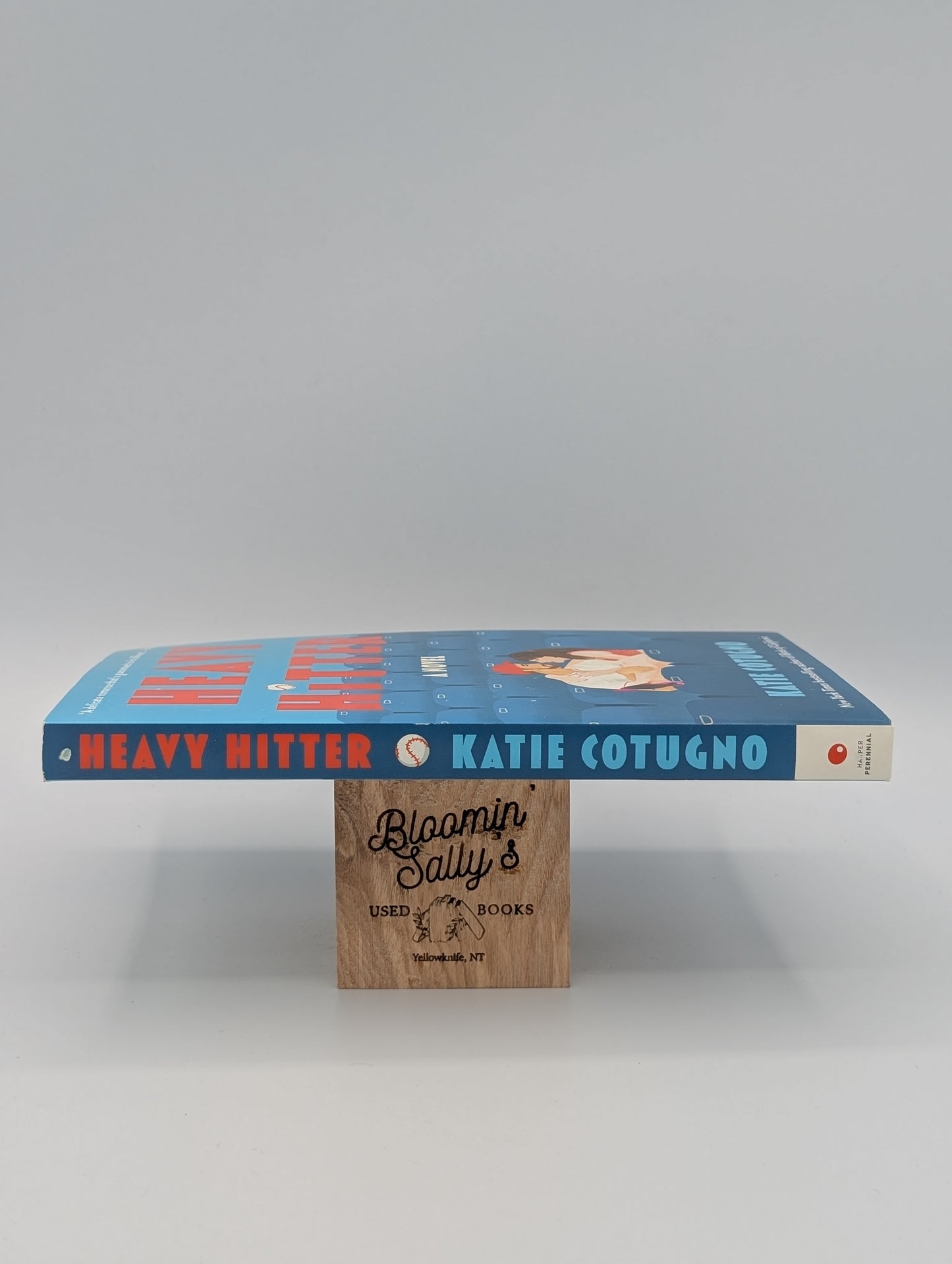 Heavy Hitter: A Novel