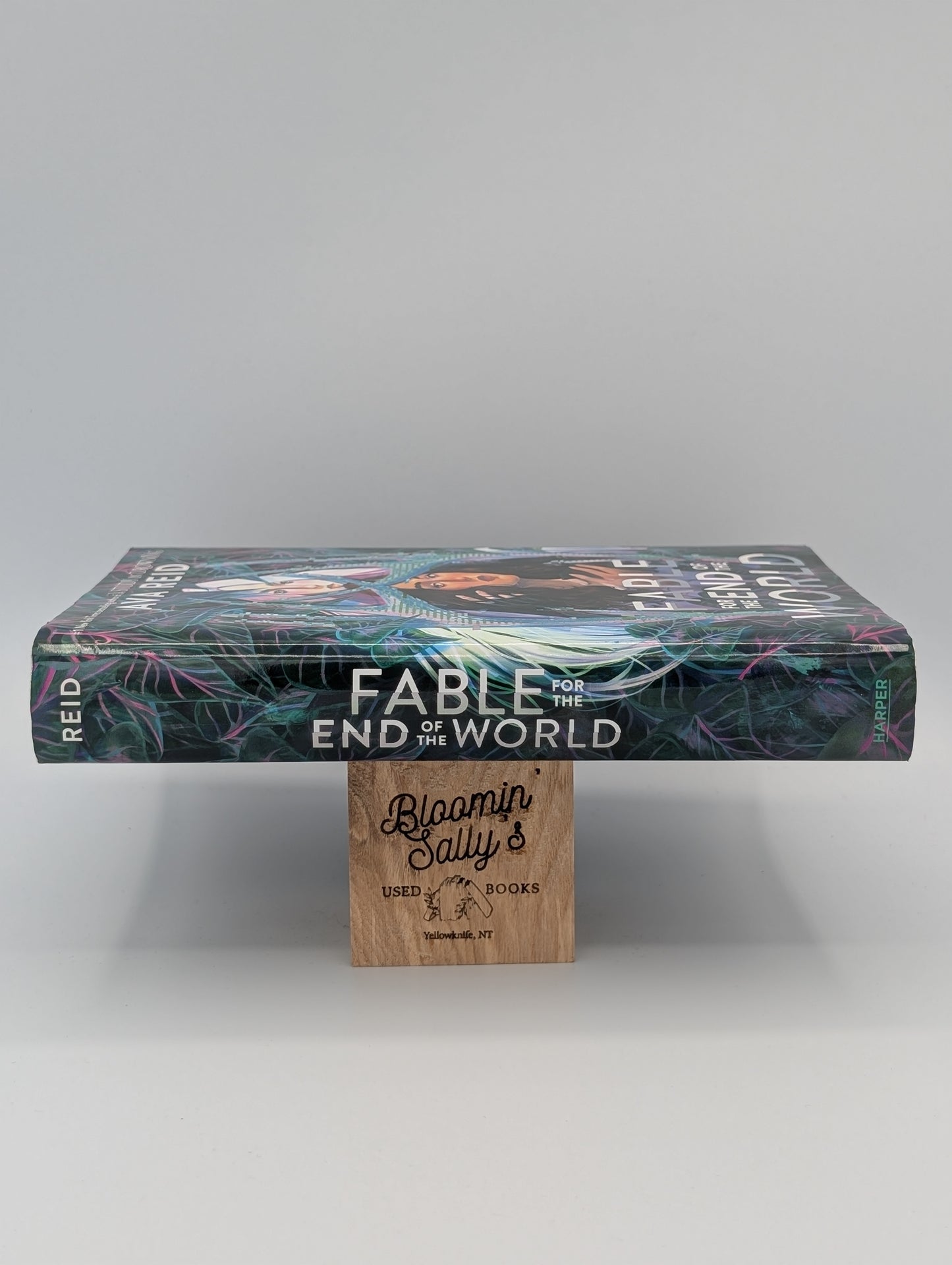 Fable for the End of the World Deluxe Limited Edition