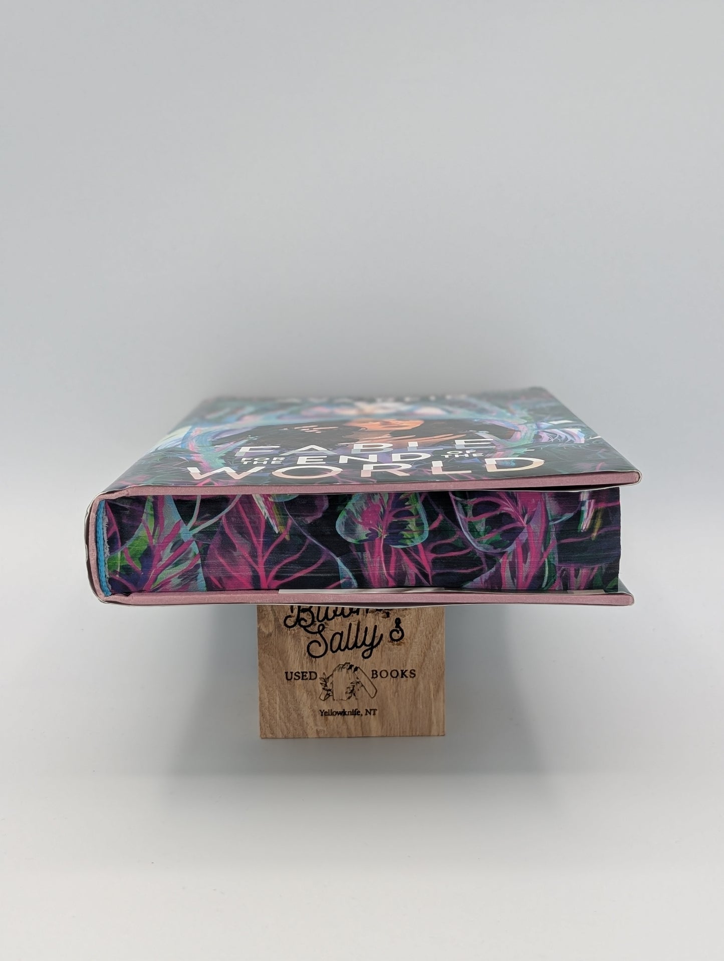 Fable for the End of the World Deluxe Limited Edition