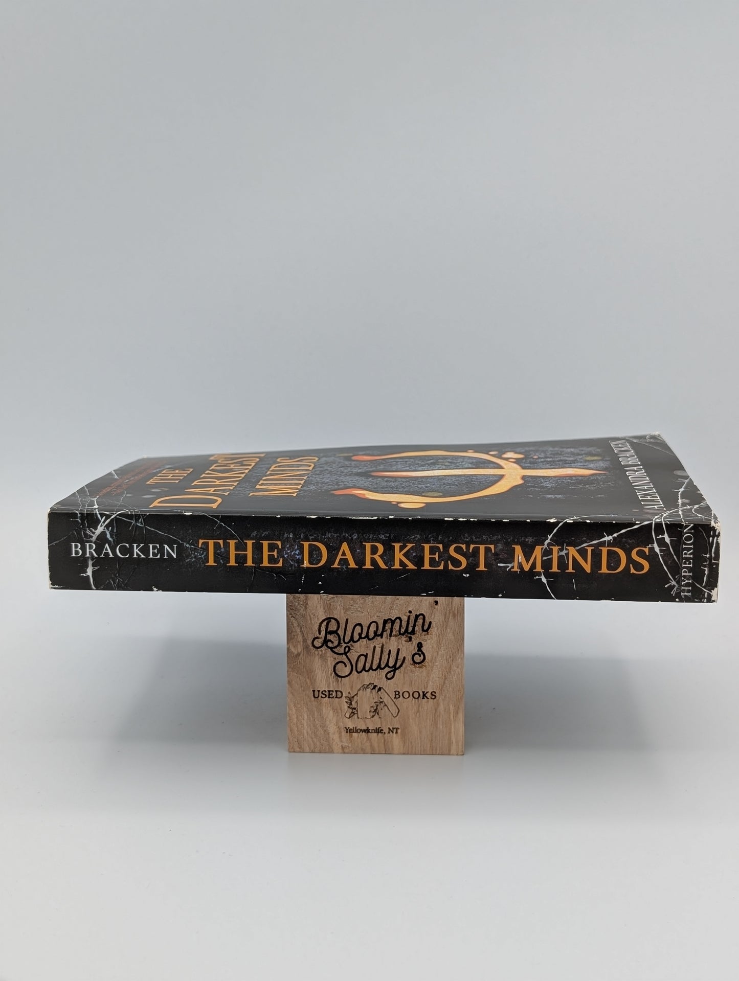 The Darkest Minds (Darkest Minds Novel, A)