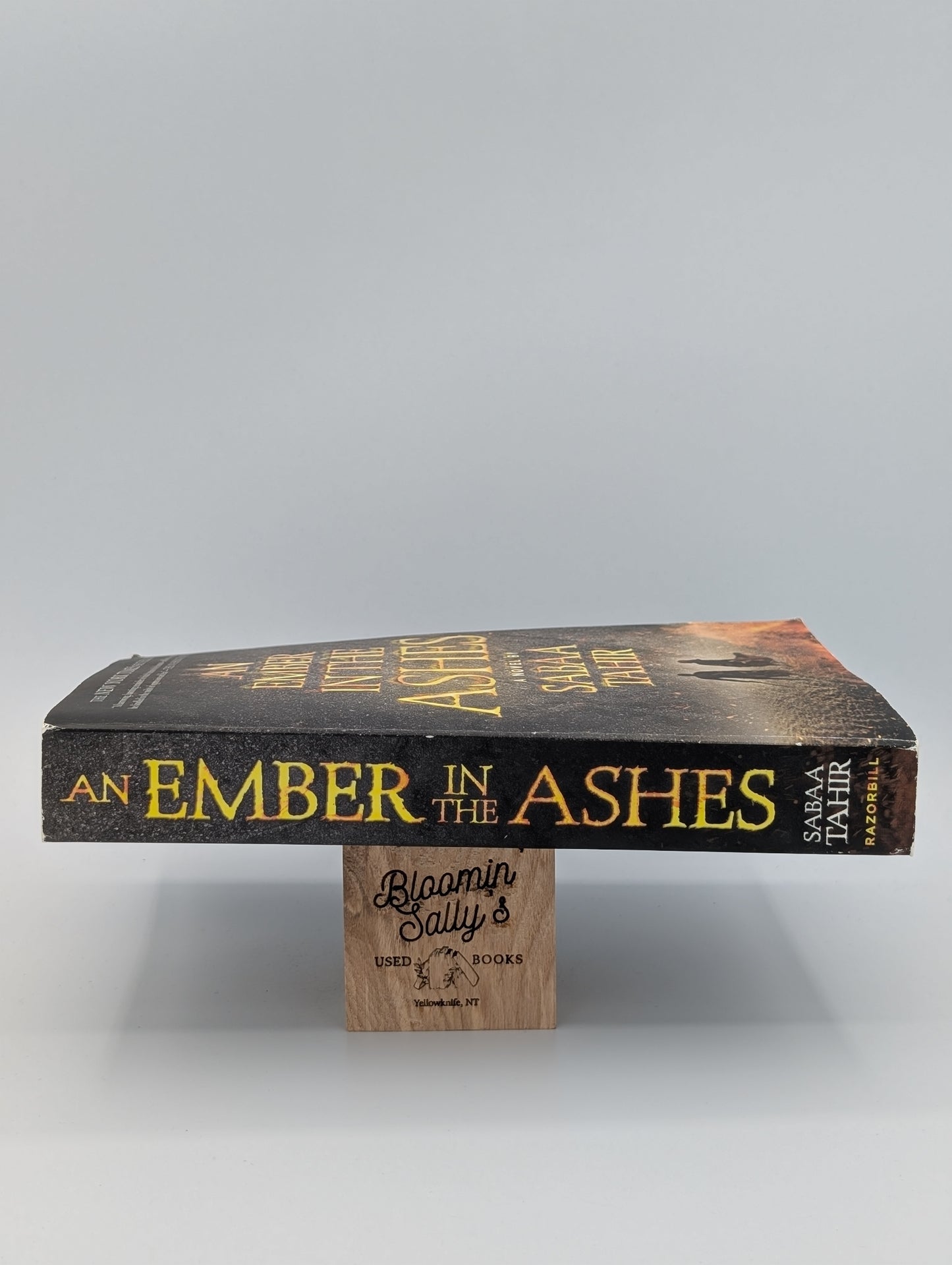 An Ember in the Ashes