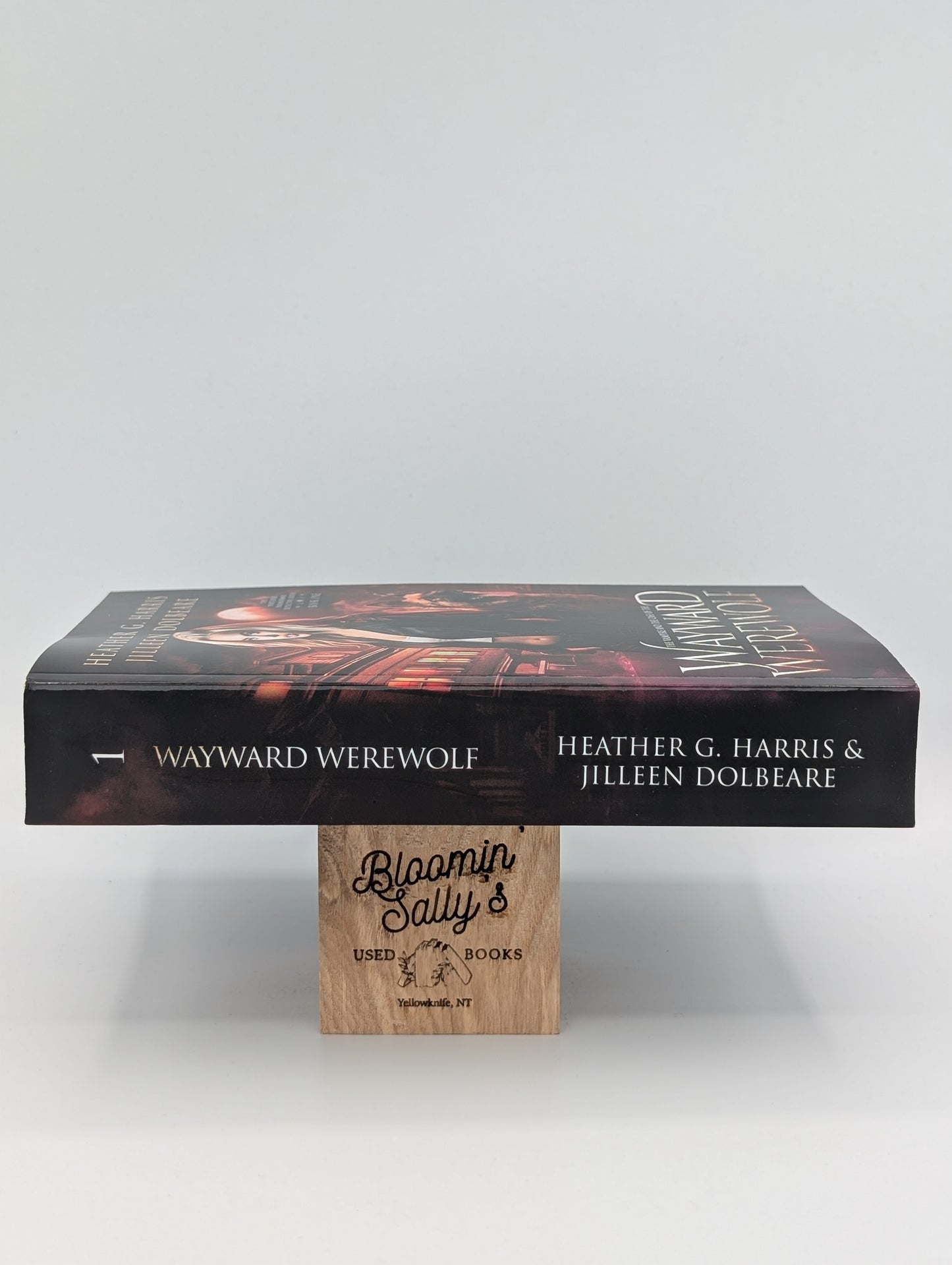 The Vampire and the Case of the Wayward Werewolf: An Urban Fantasy Novel (The Portlock Paranormal Detective Series)