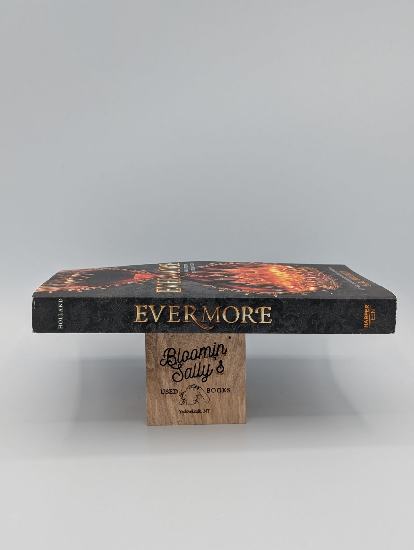 Evermore: A High-Stakes and Star-Crossed YA Fantasy of Love, Secrets, and Past Lives