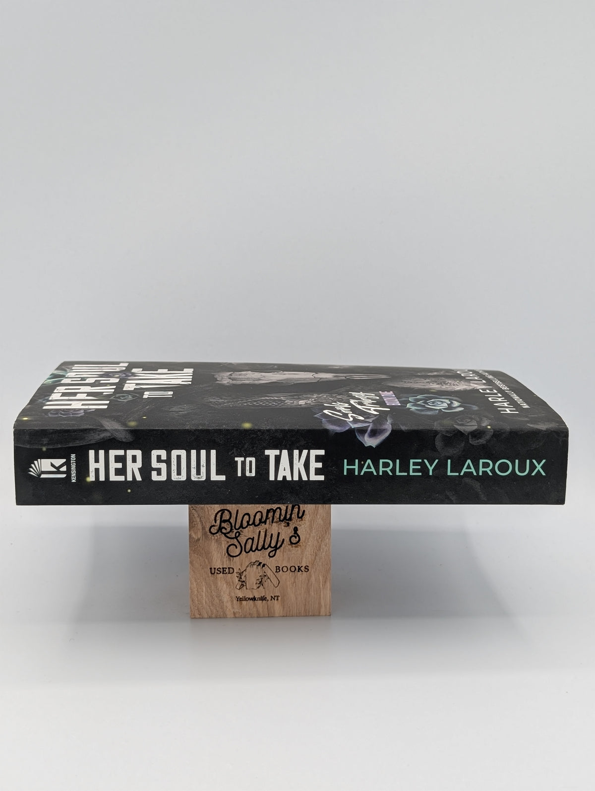Her Soul to Take: A Paranormal Dark Academia Romance (Souls Trilogy)