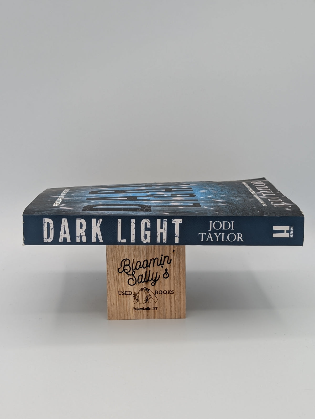 Dark Light (Elizabeth Cage)