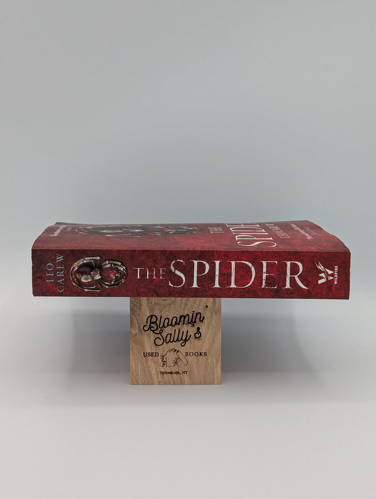 The Spider (The UNDER THE NORTHERN SKY Series, Book 2)