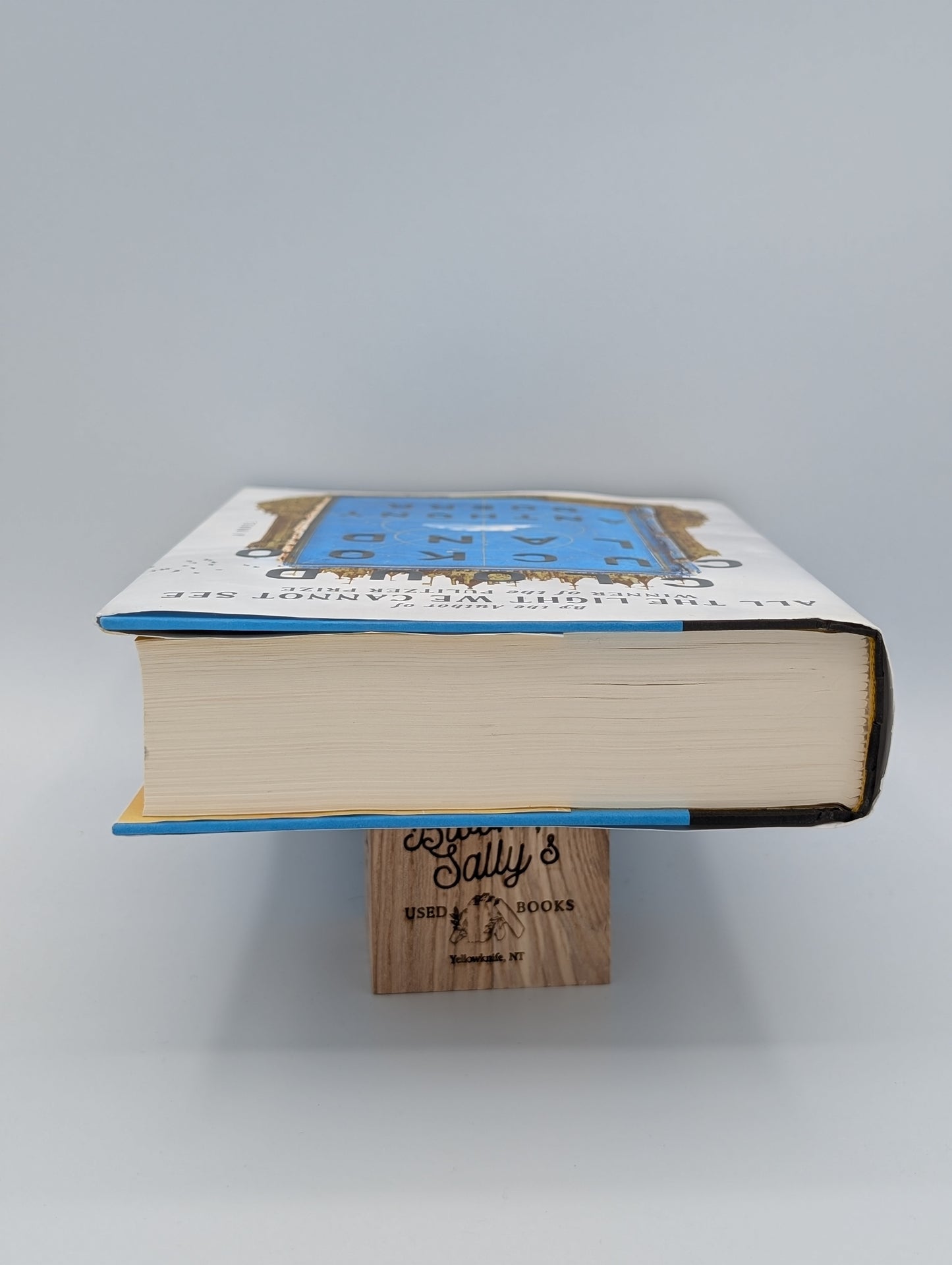 Cloud Cuckoo Land: A Novel