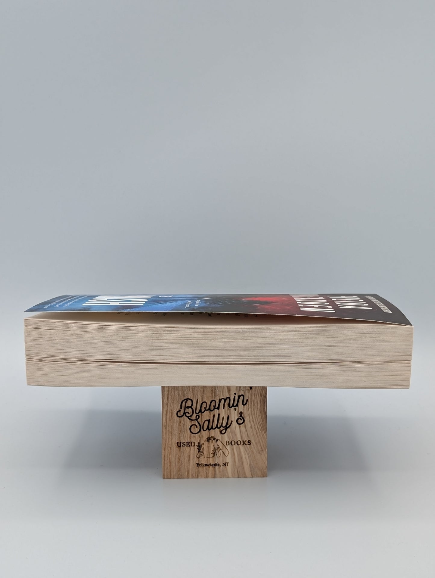 Le Crash (Exclusivité Indigo)