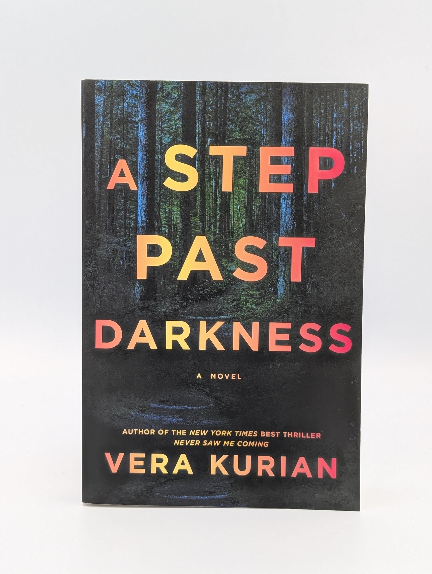 A Step Past Darkness: A Novel