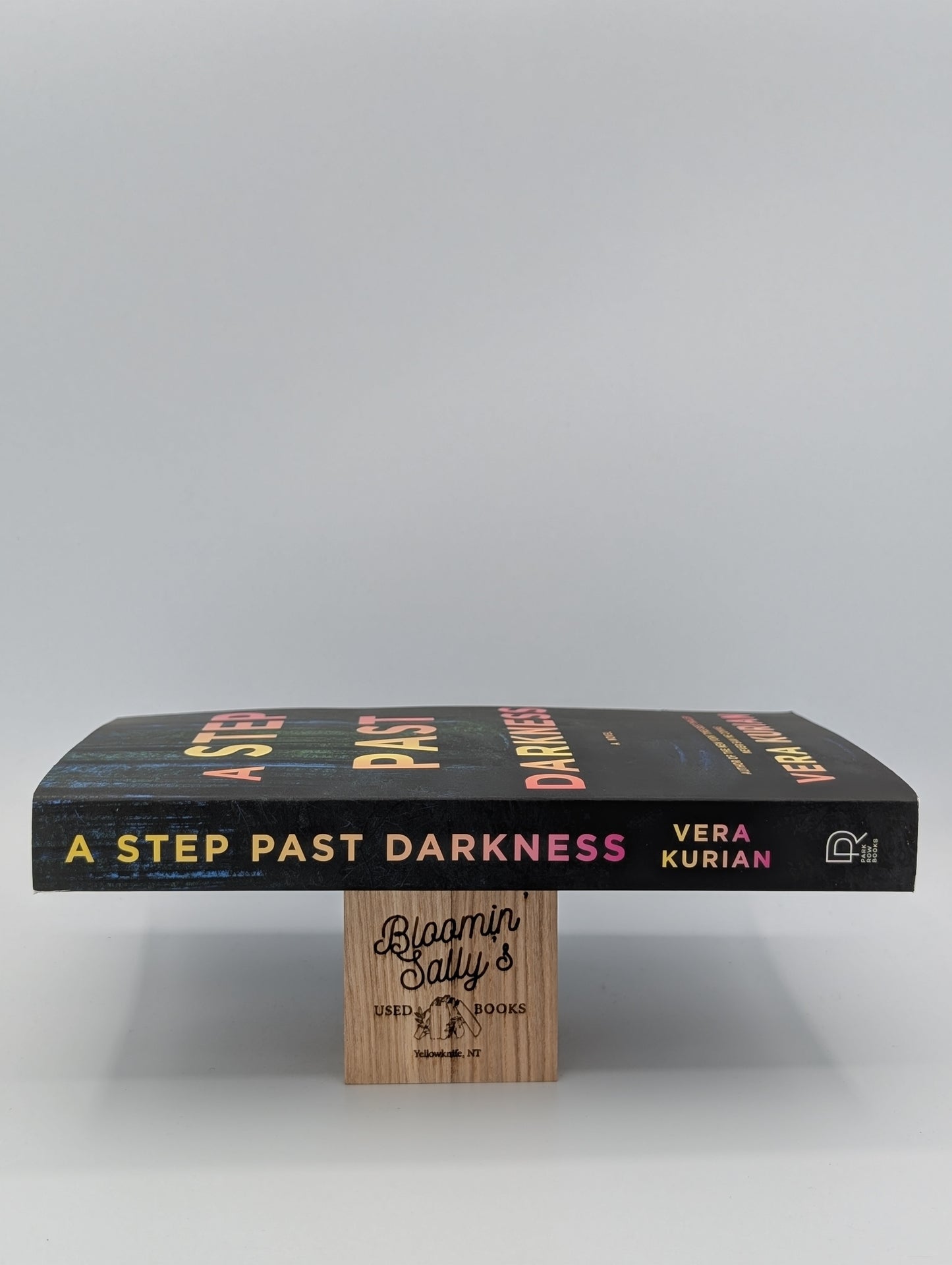 A Step Past Darkness: A Novel