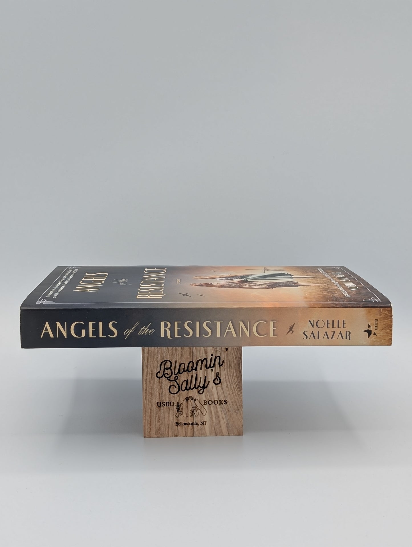 Angels of the Resistance: A Novel of Sisterhood and Courage in WWII – A Powerful Coming of Age Historical Fiction Set in the Netherlands