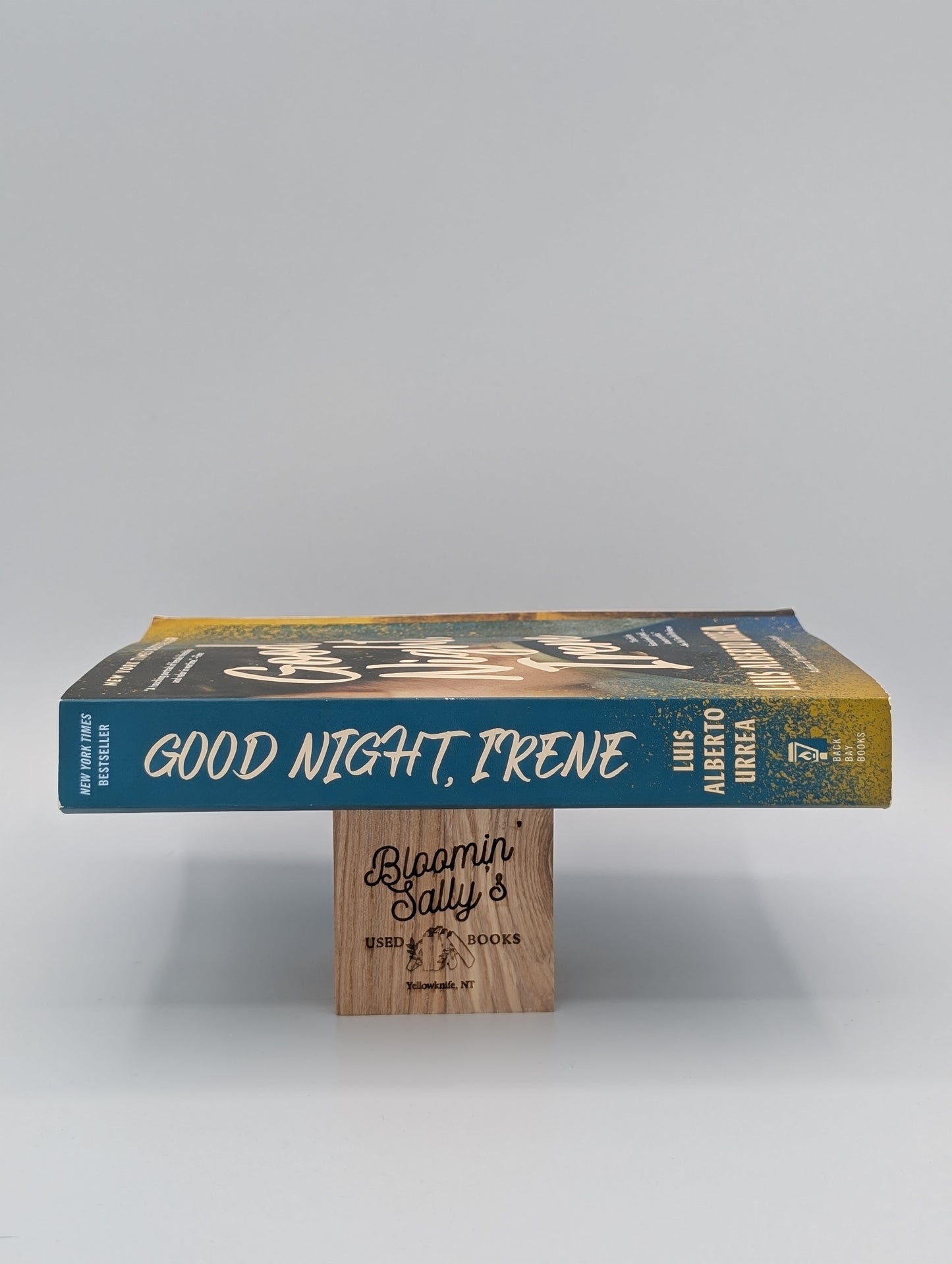 Good Night, Irene: A Novel