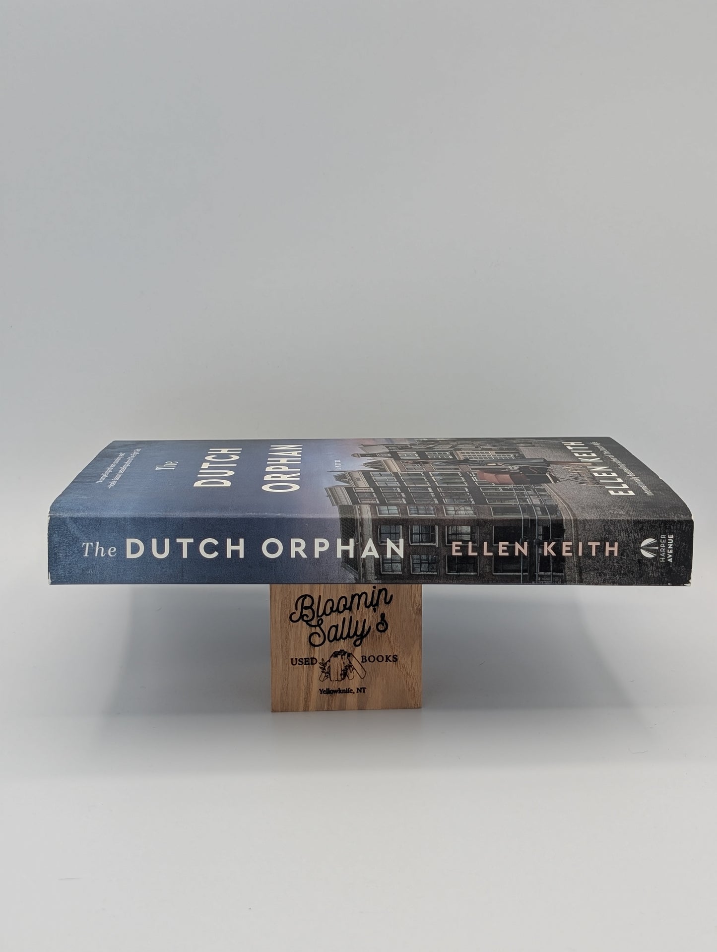 The Dutch Orphan: A Novel