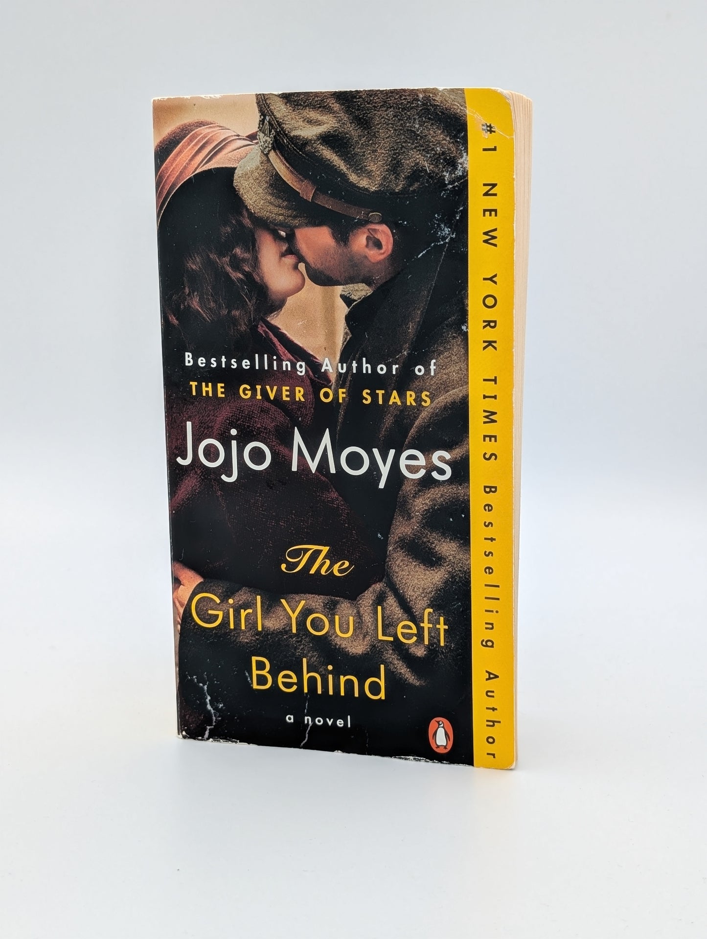 The Girl You Left Behind: A Novel