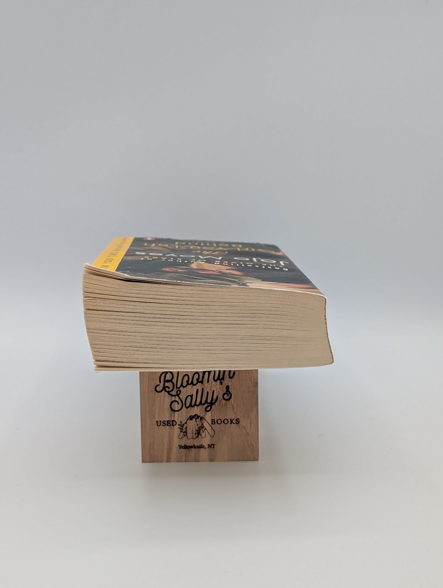 The Girl You Left Behind: A Novel