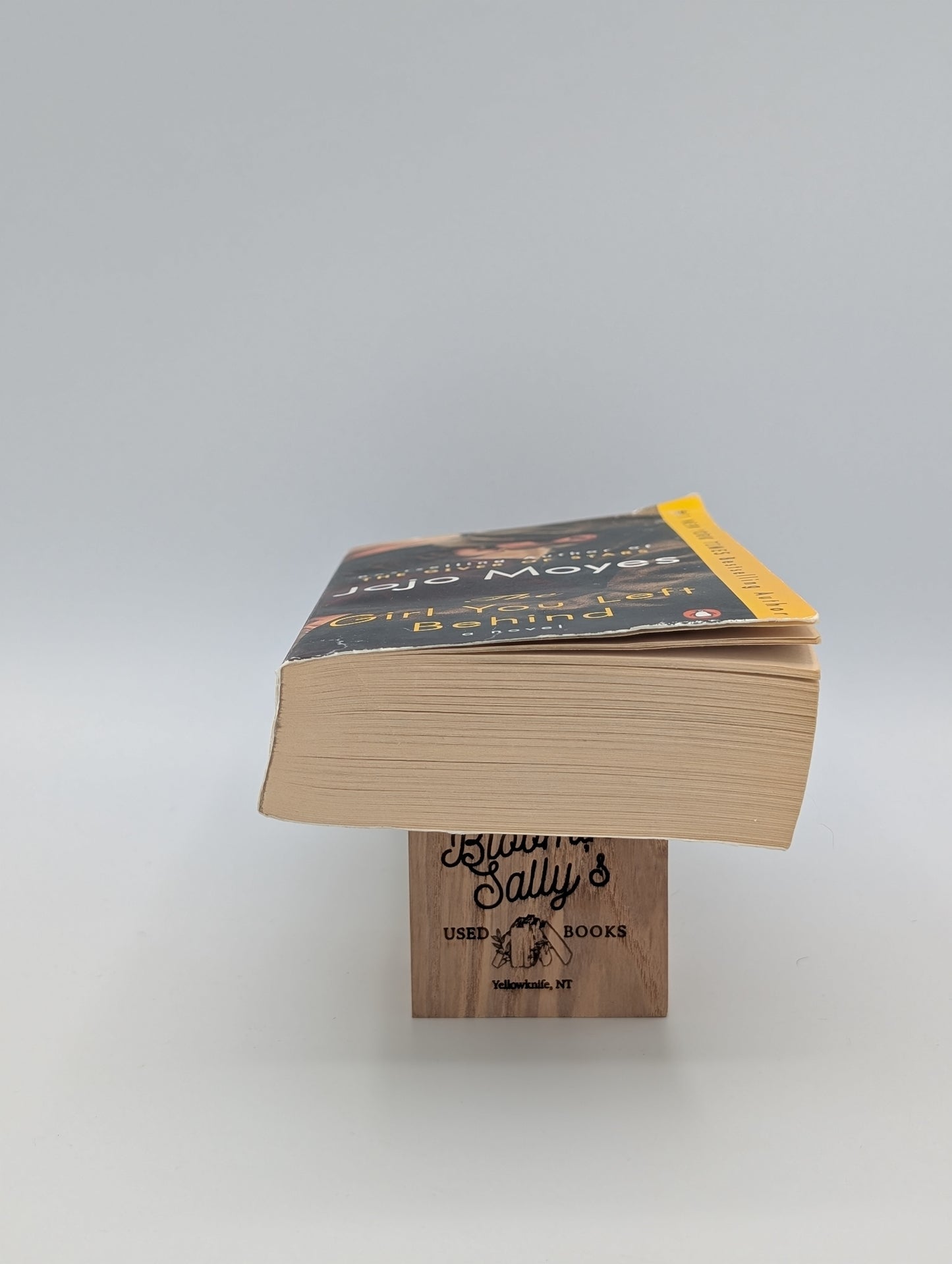 The Girl You Left Behind: A Novel