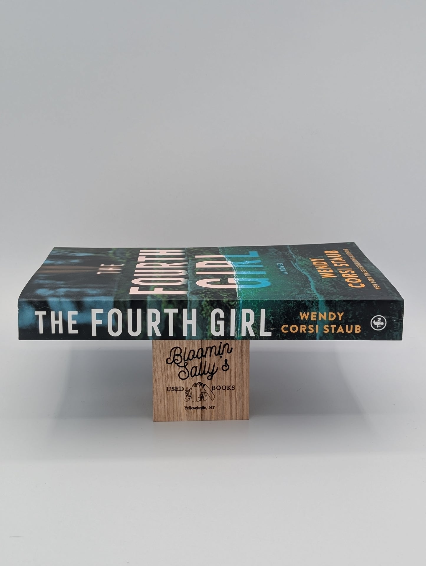 The Fourth Girl: A Novel (Haven Cliff)