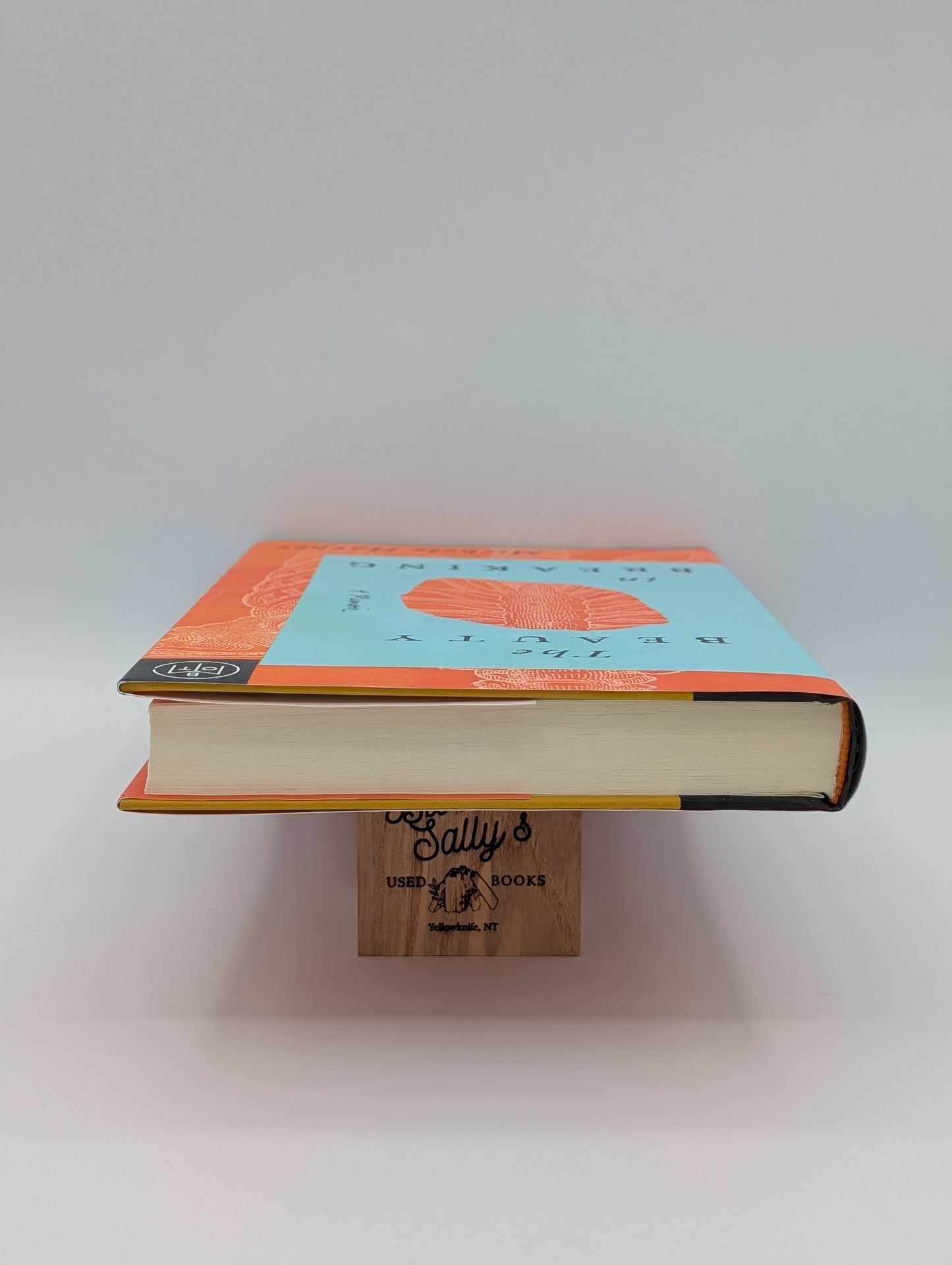 The Beauty in Breaking: A Memoir (BOTM)