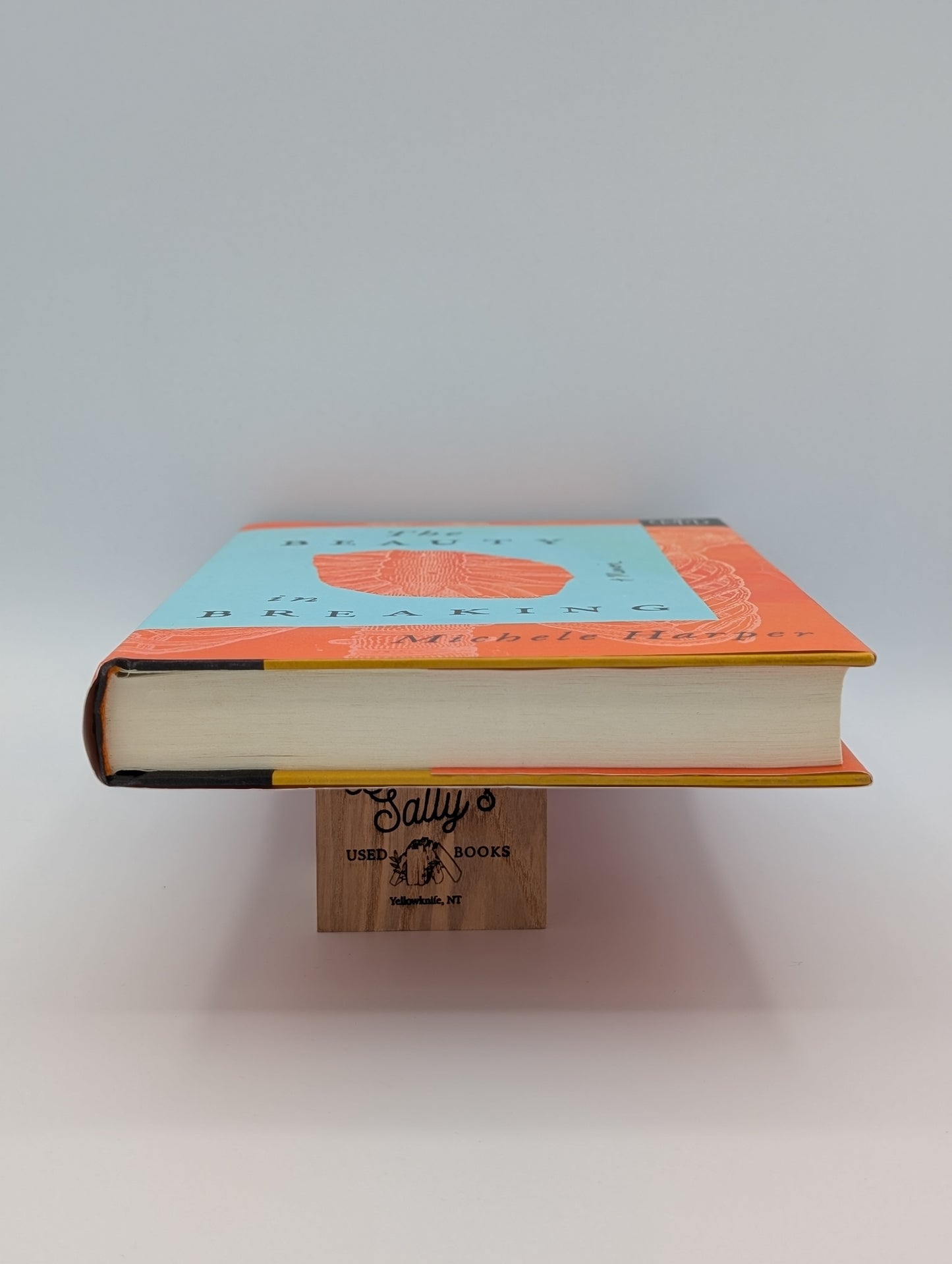 The Beauty in Breaking: A Memoir (BOTM)