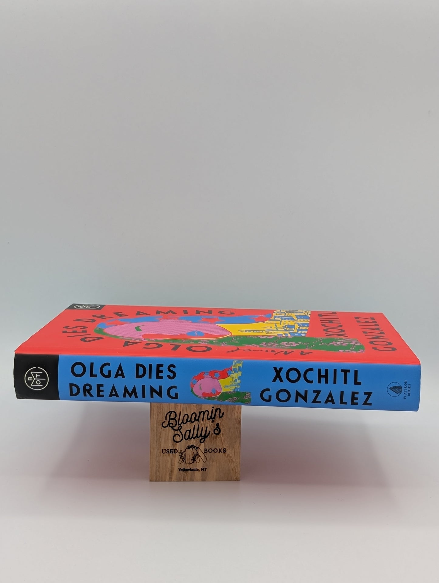 Olga Dies Dreaming: A Novel (BOTM)