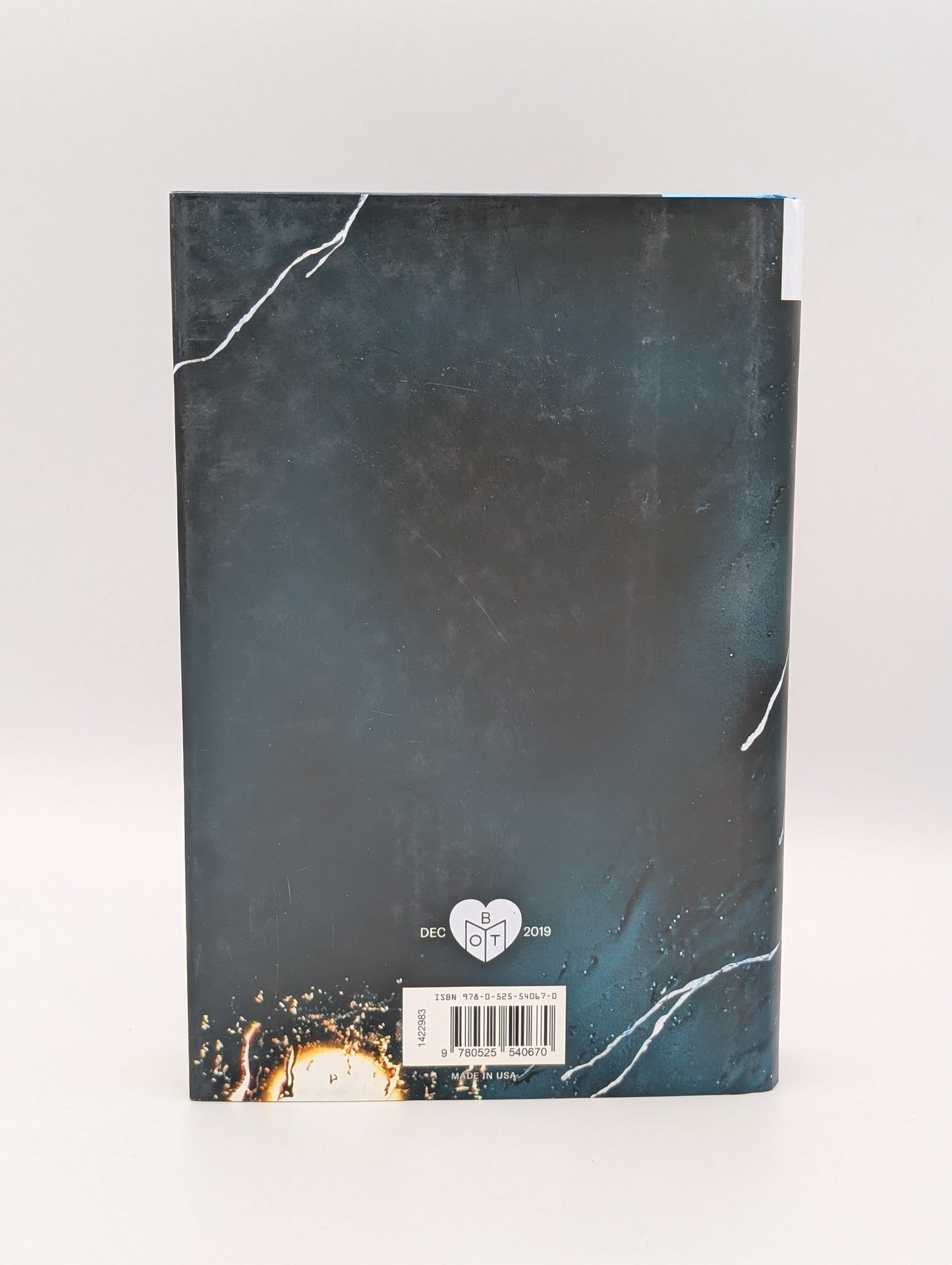 Long Bright River: A Novel (BOTM)