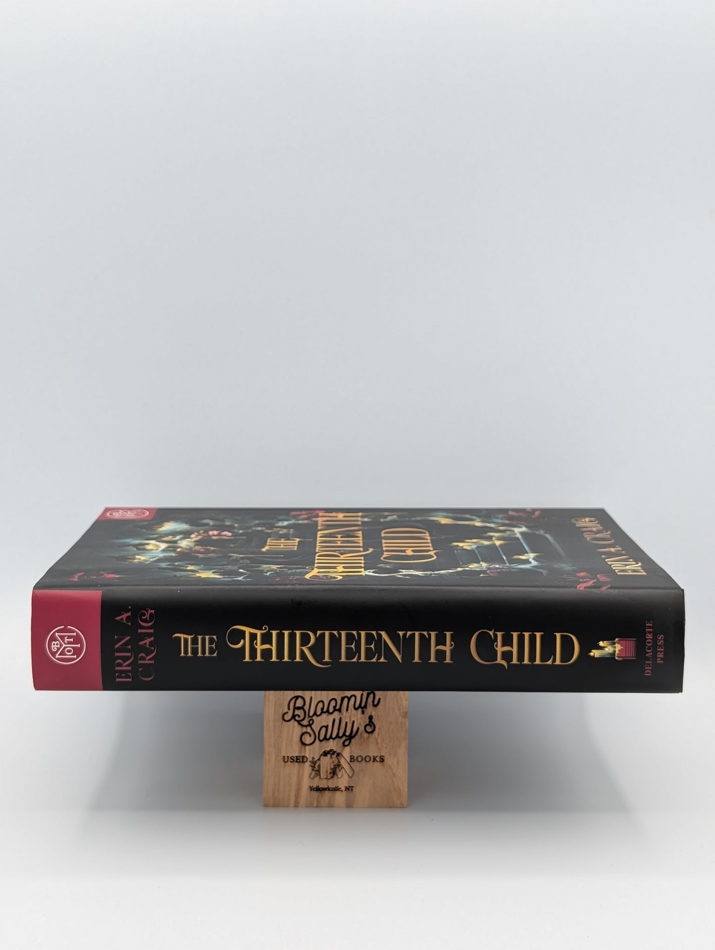 The Thirteenth Child (BOTM)