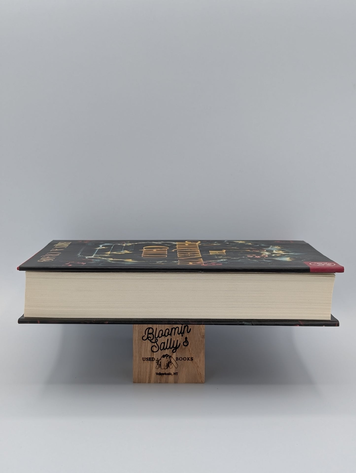 The Thirteenth Child (BOTM)