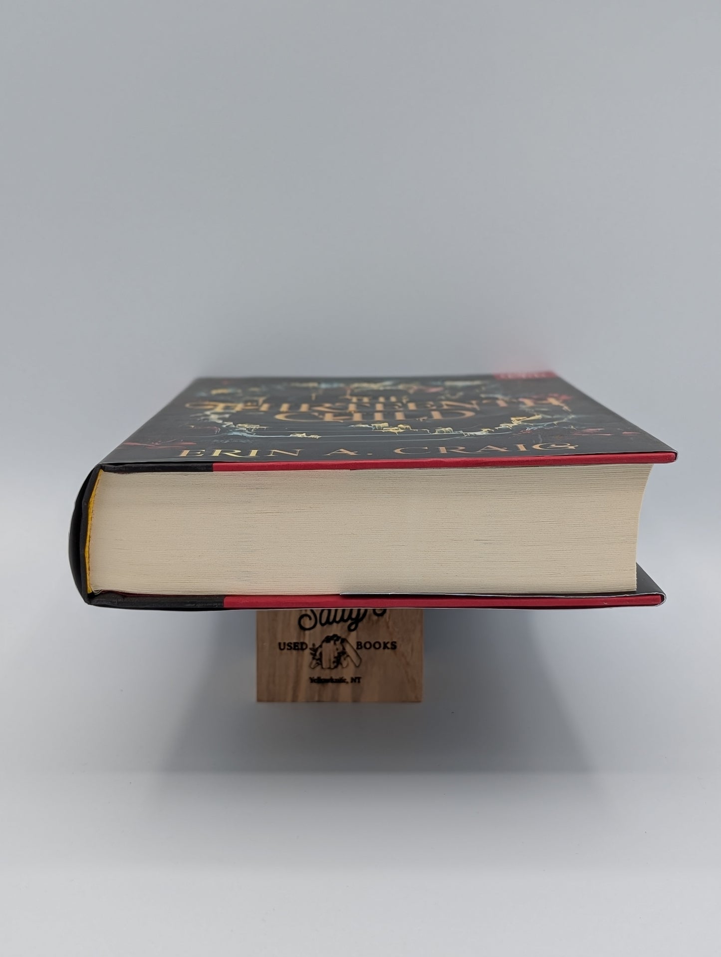 The Thirteenth Child (BOTM)
