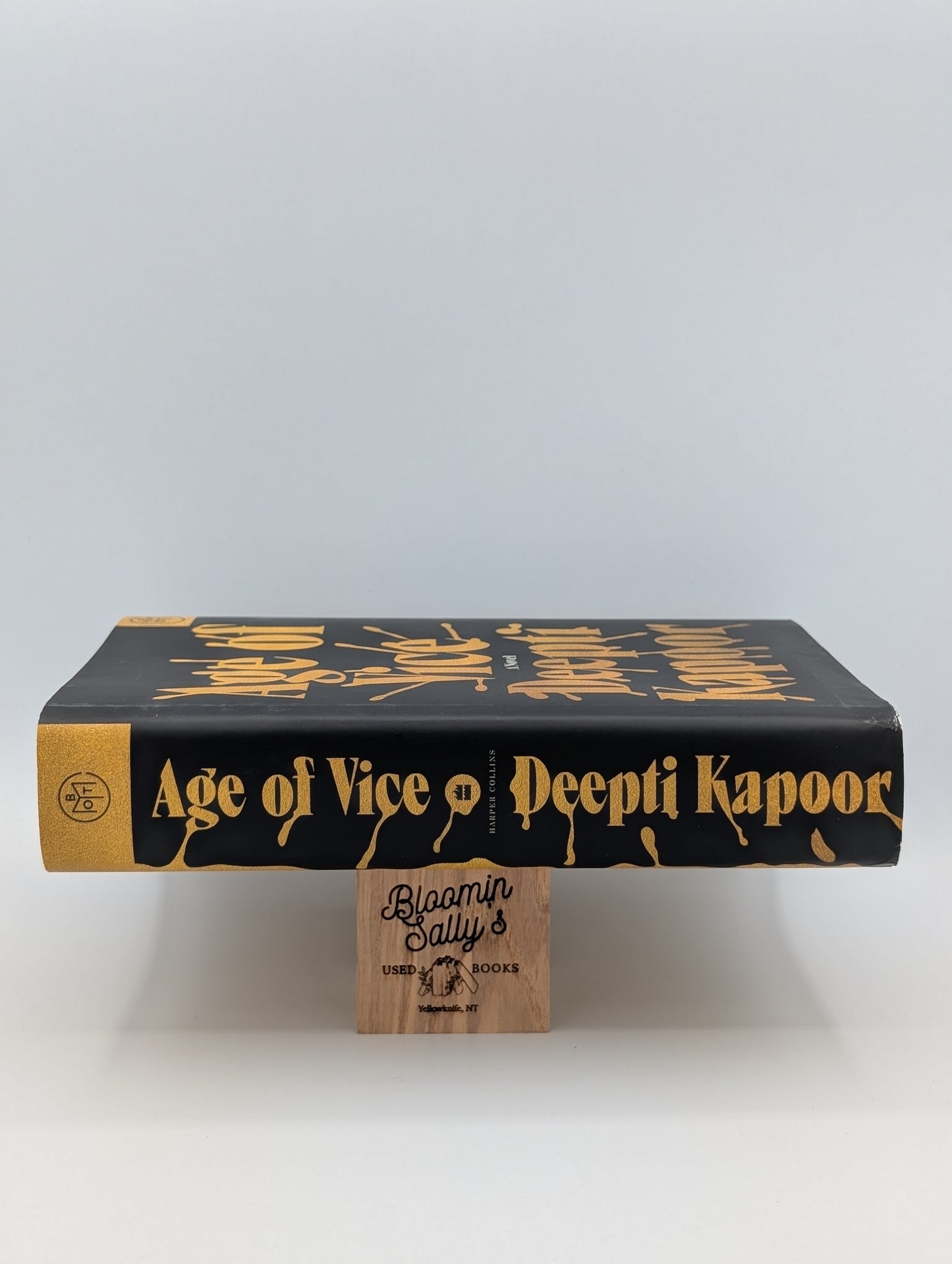 Age of Vice: A Novel (BOTM)
