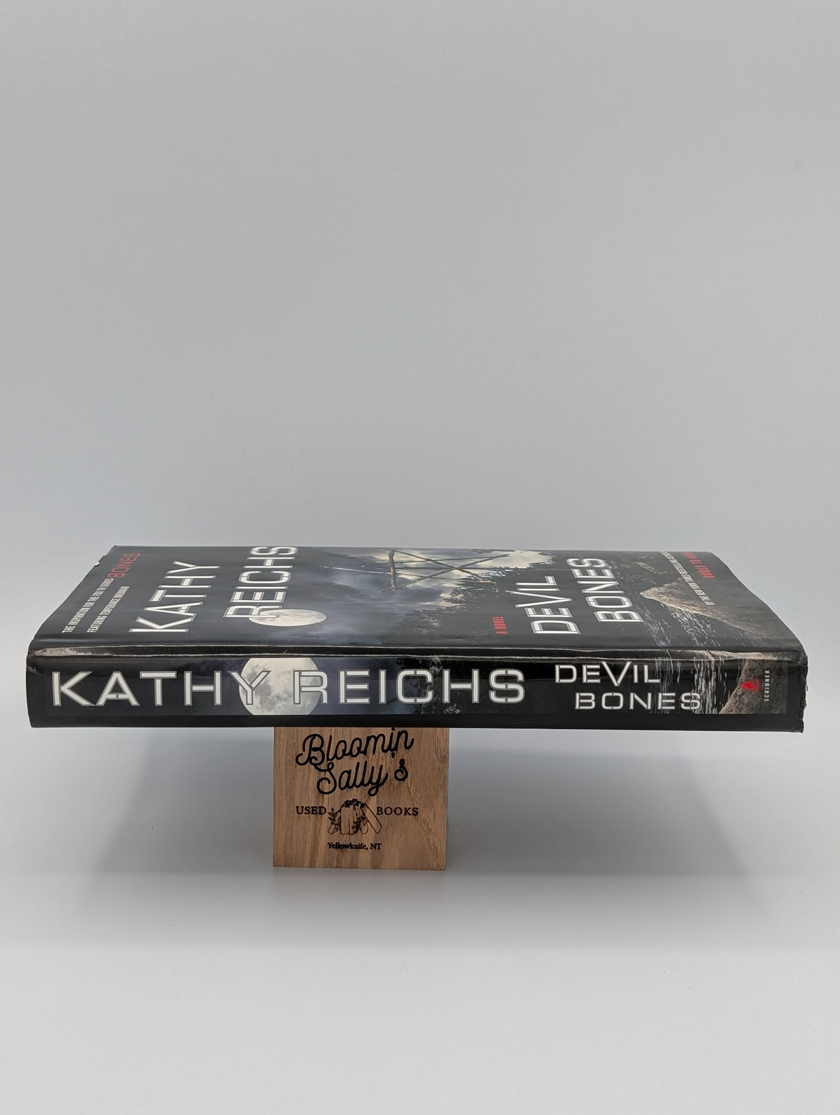 Devil Bones: A Novel
