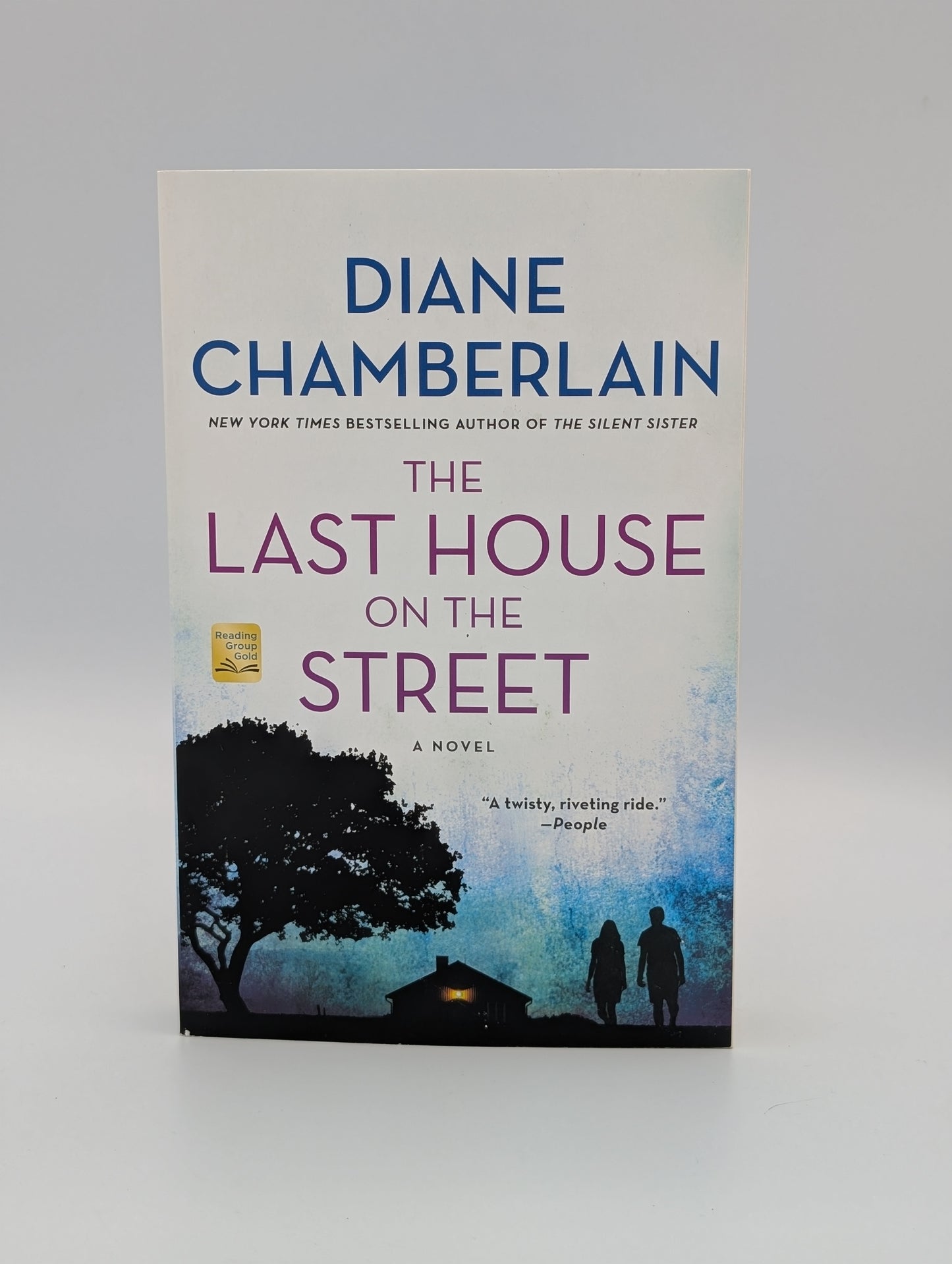 The Last House on the Street: A Novel