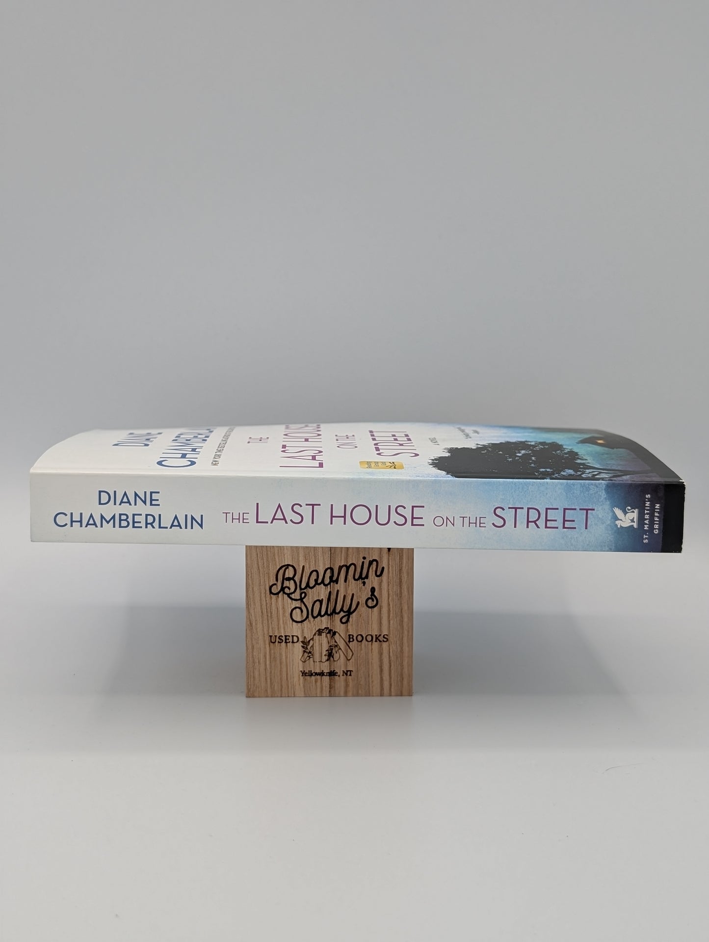 The Last House on the Street: A Novel