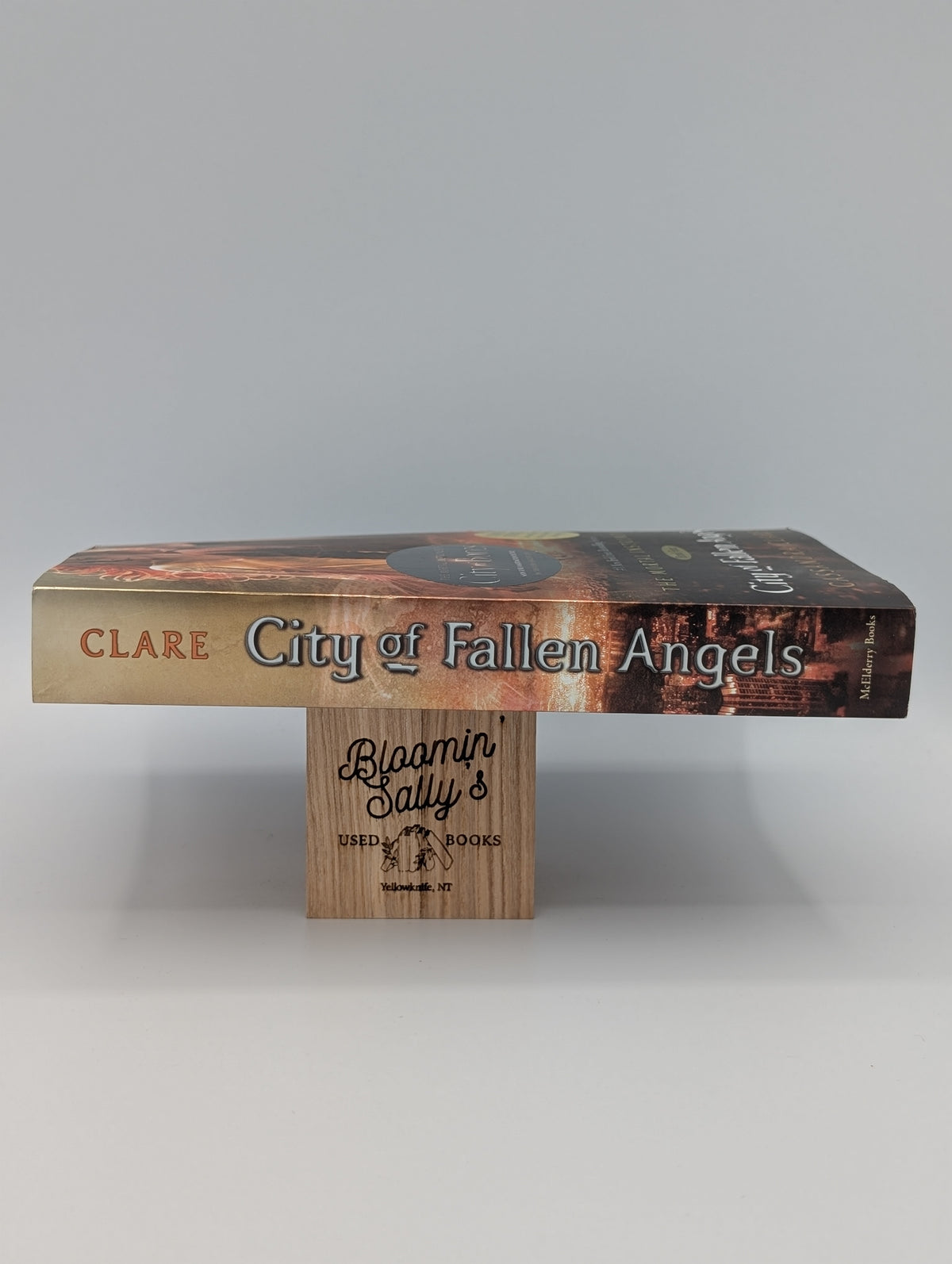 City of Fallen Angels (Mortal Instruments)