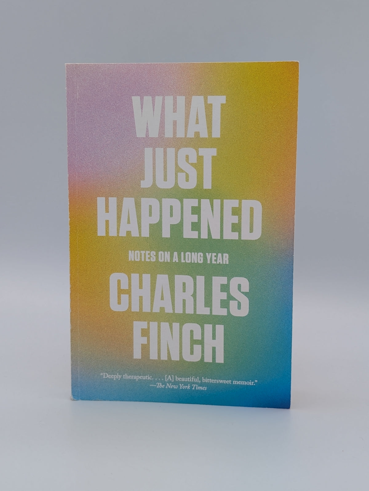 What Just Happened: Notes on a Long Year