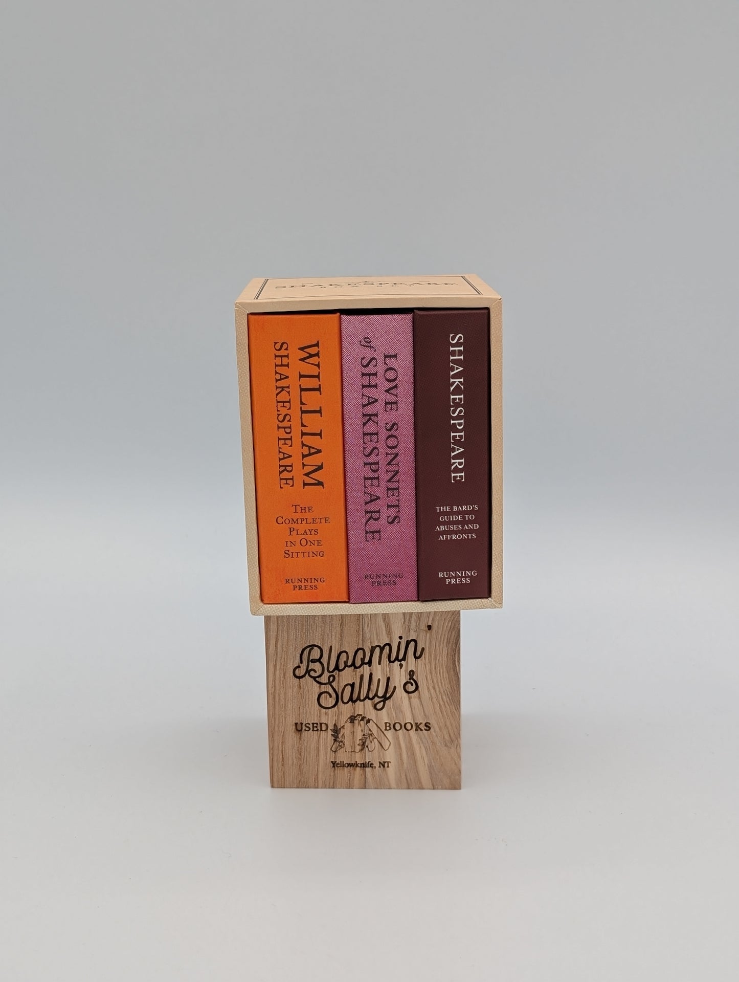Shakespeare Box Set (RP Minis)