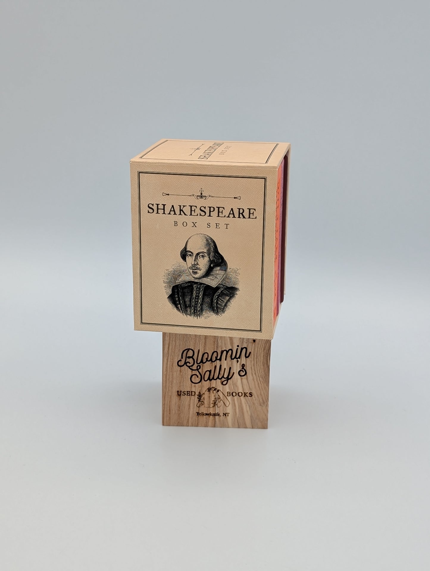 Shakespeare Box Set (RP Minis)