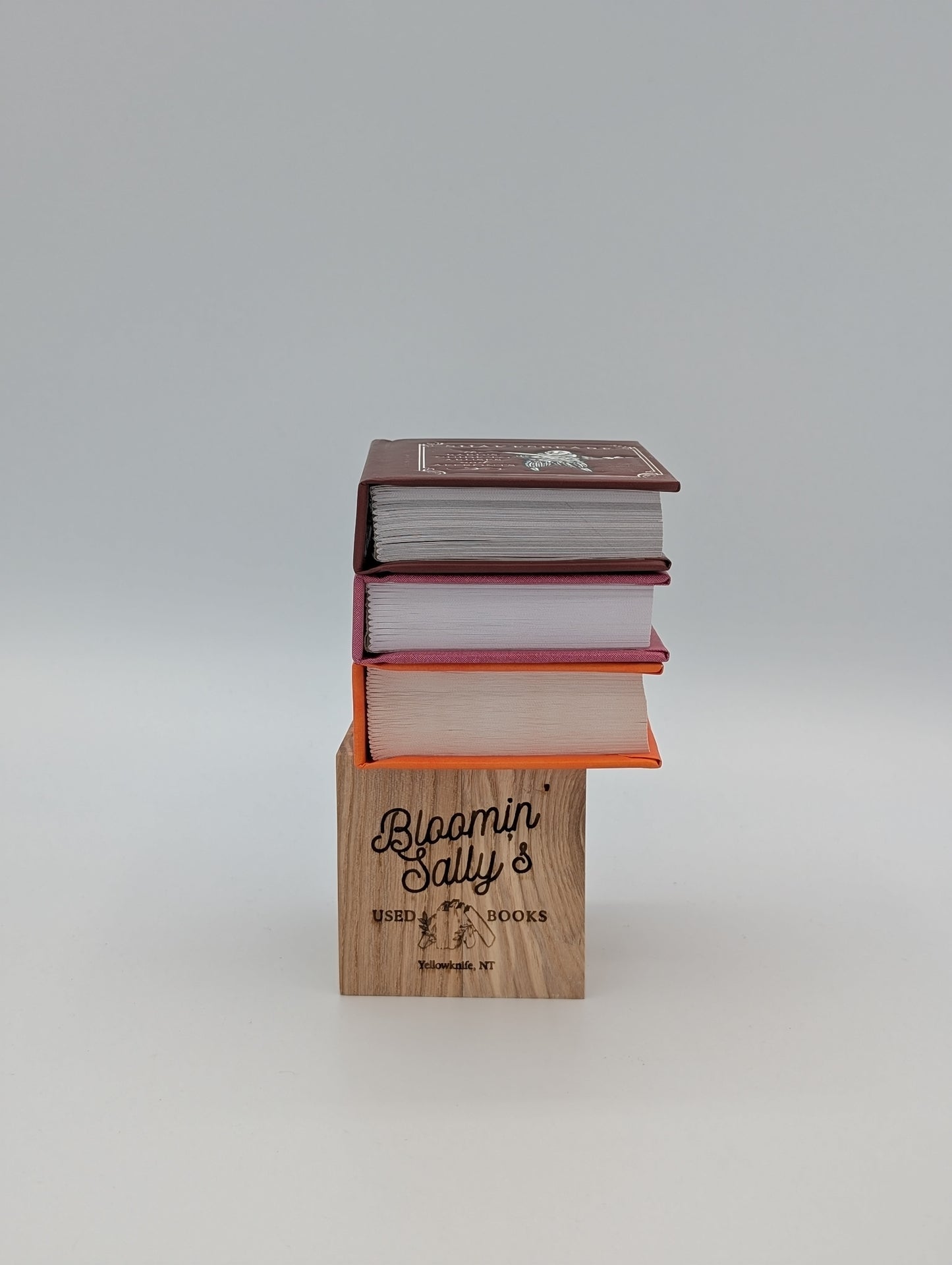 Shakespeare Box Set (RP Minis)