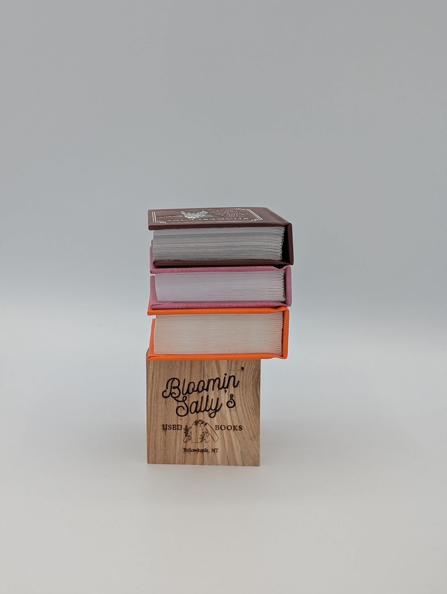 Shakespeare Box Set (RP Minis)