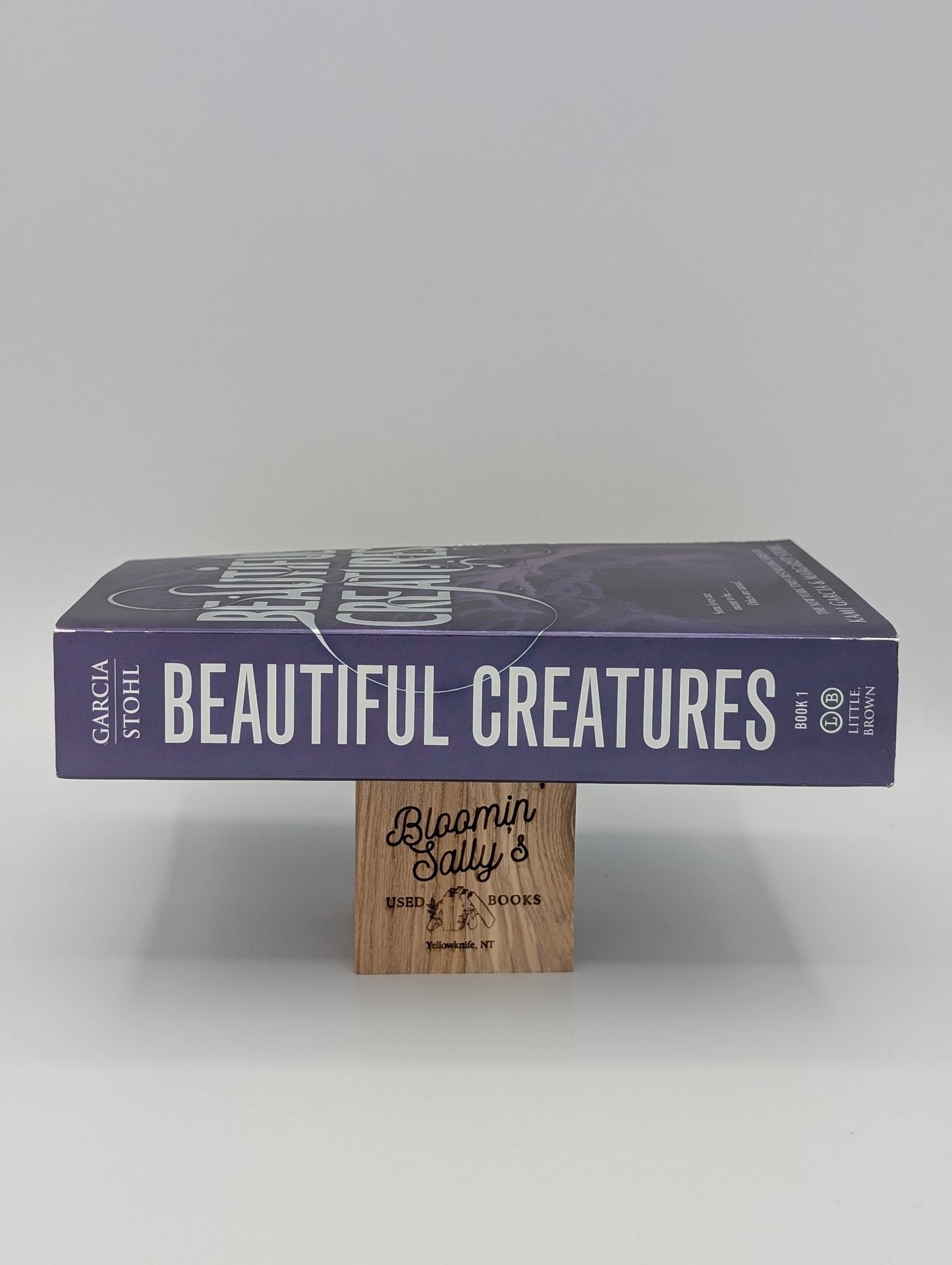 Beautiful Creatures (Beautiful Creatures, 1)