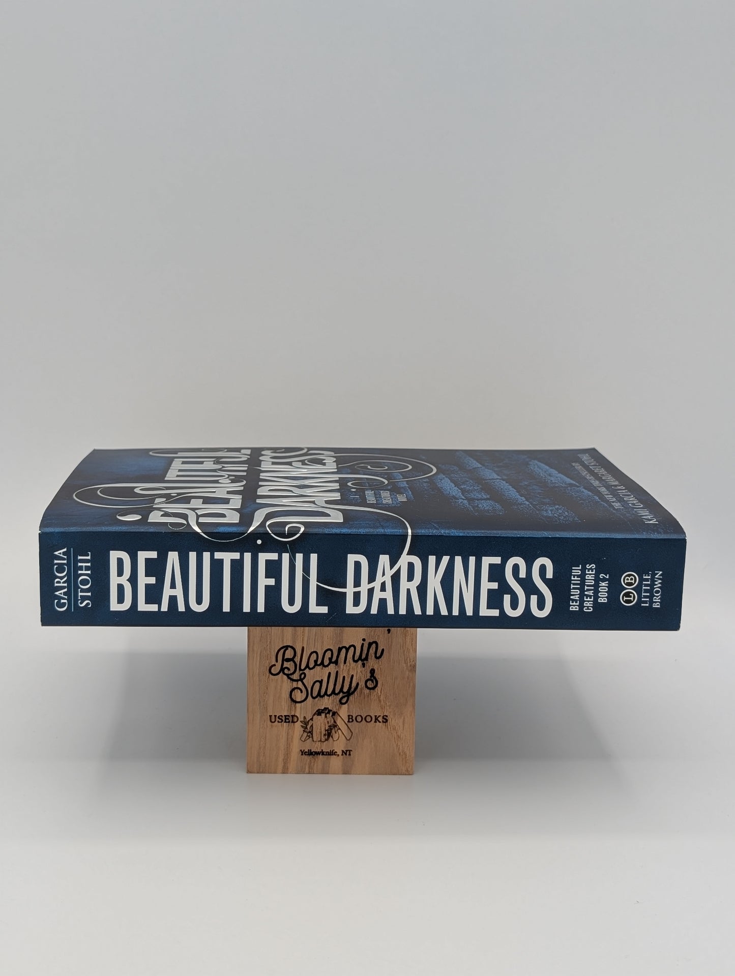 Beautiful Darkness (Beautiful Creatures, 2)