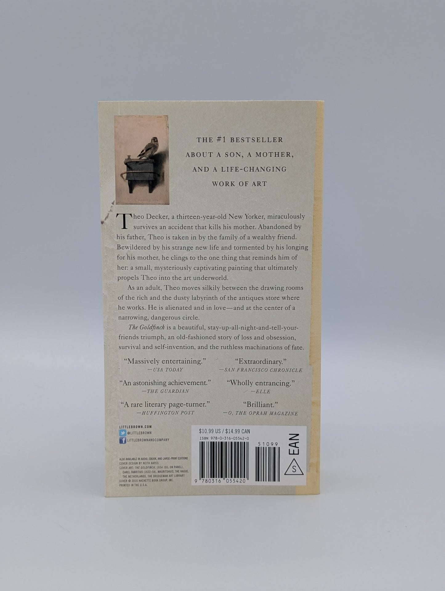 The Goldfinch: A Novel (Pulitzer Prize for Fiction)