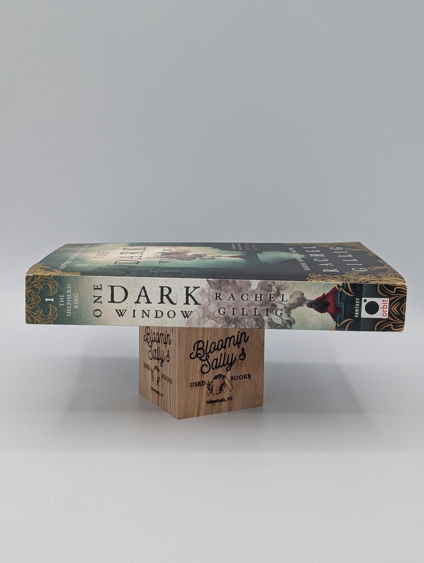 One Dark Window (The Shepherd King, 1)