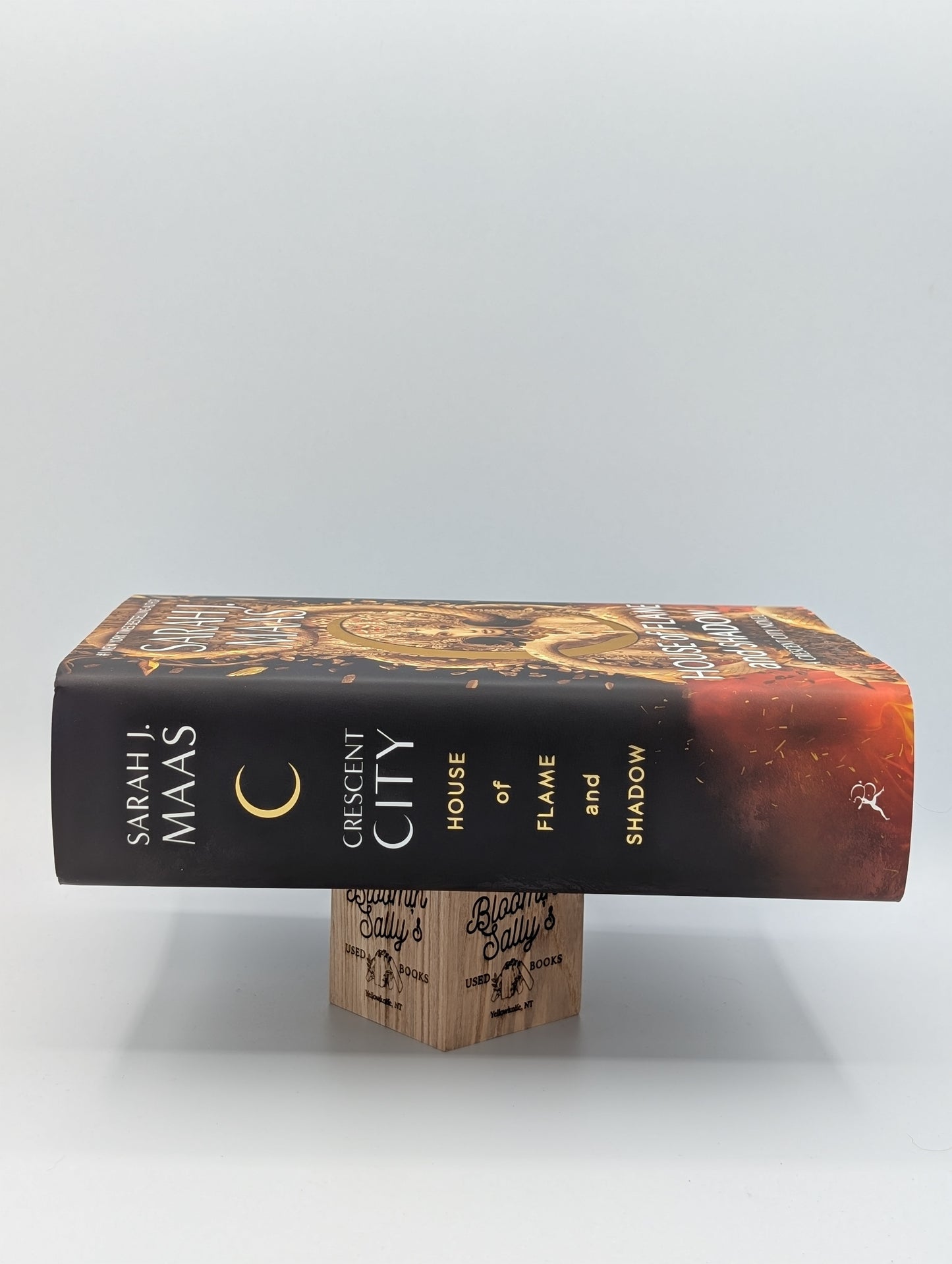 House of Flame and Shadow (Crescent City, 3)