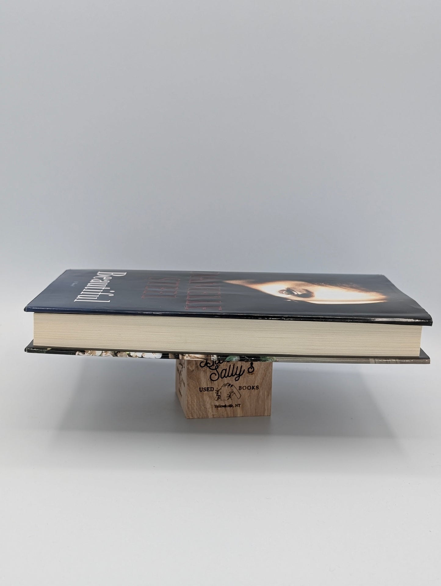 Beautiful: A Novel