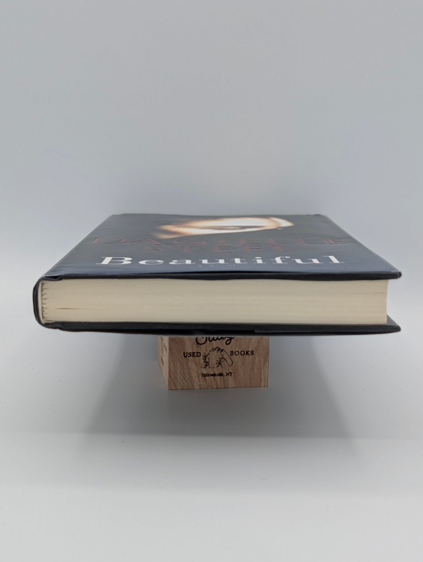 Beautiful: A Novel