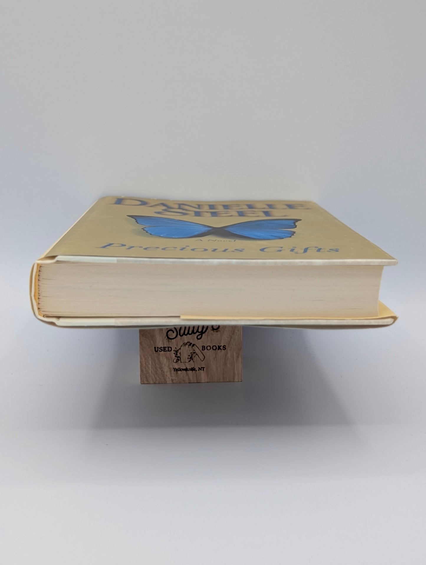 Precious Gifts: A Novel