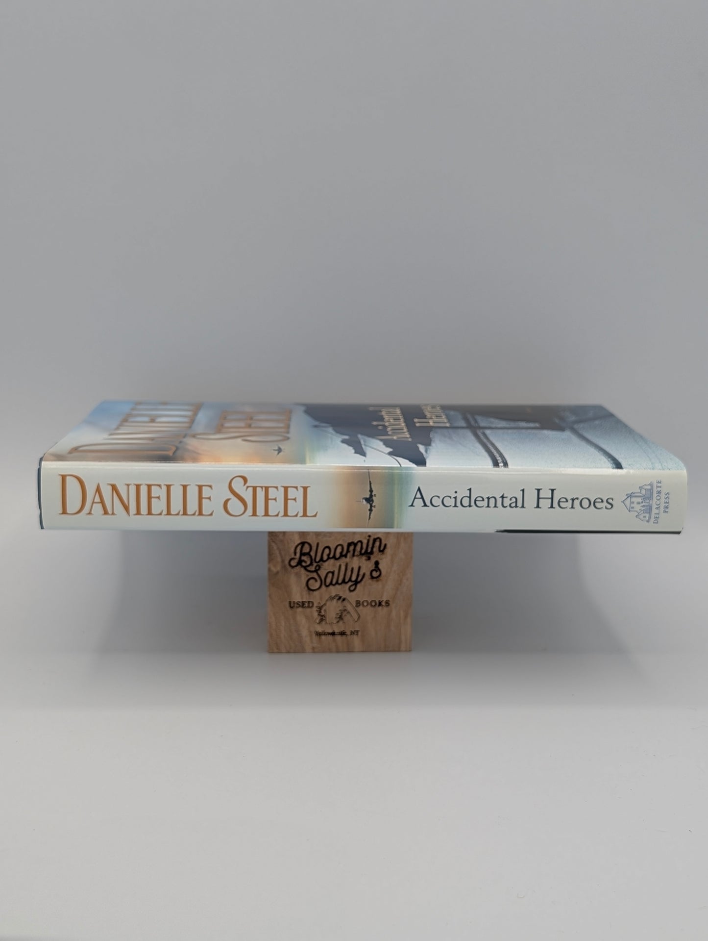 Accidental Heroes: A Novel
